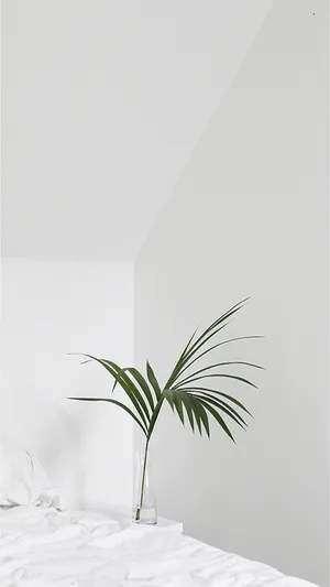 300x533 Palm Leaf In Cute White Aesthetic Room ... Wallpaper