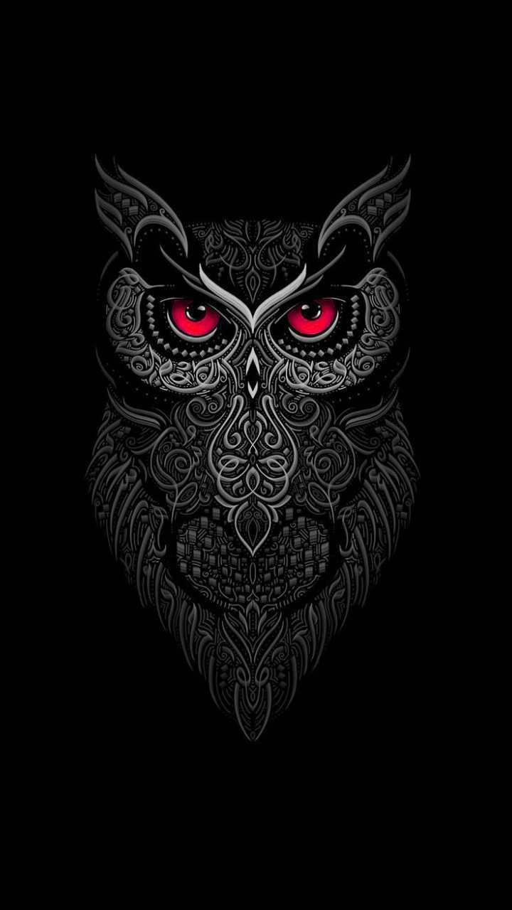 Cool Owl Wallpapers - 4k, HD Cool Owl Backgrounds on WallpaperBat