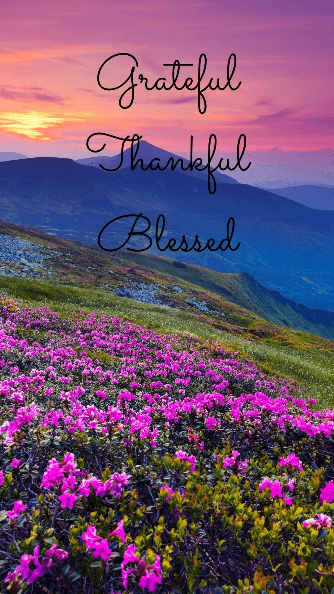 Be Thankful Wallpapers - 4k, HD Be Thankful Backgrounds on WallpaperBat