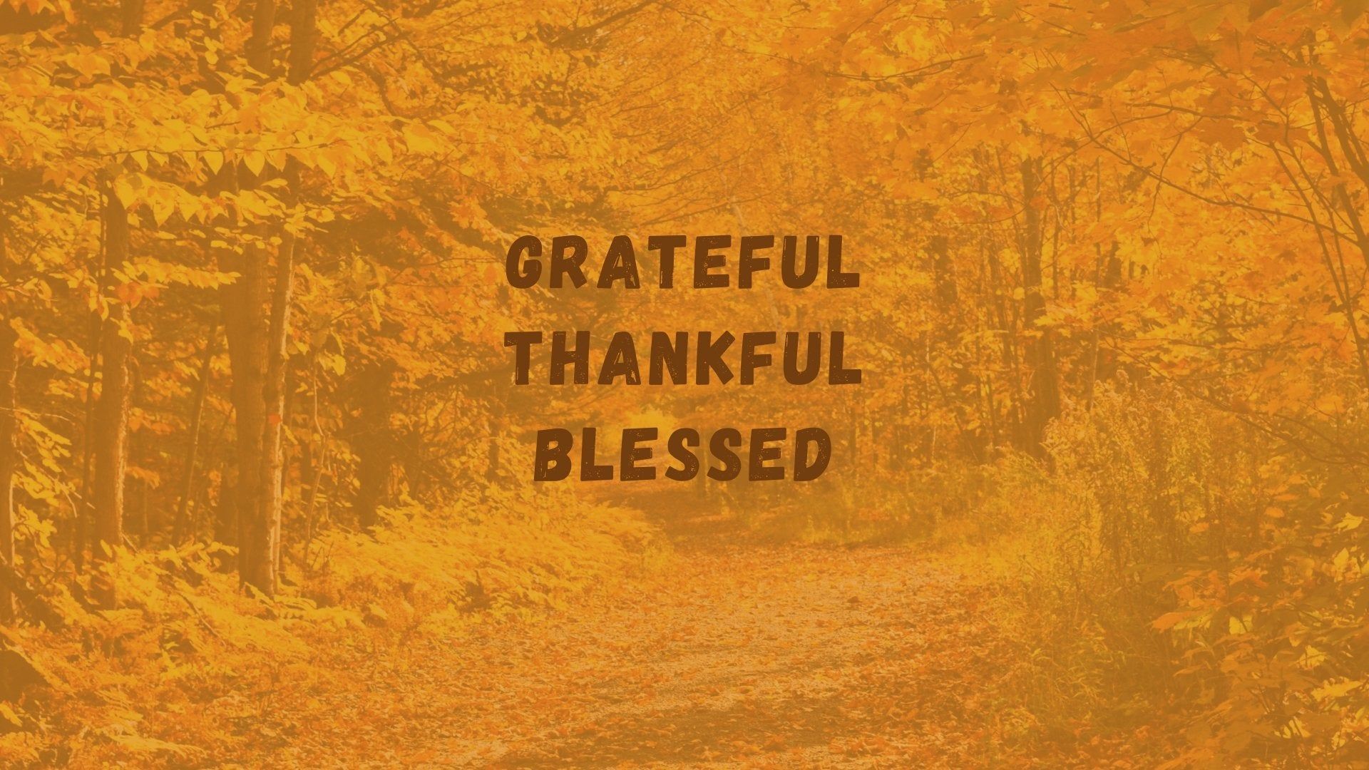 Be Thankful Wallpapers - 4k, HD Be Thankful Backgrounds on WallpaperBat