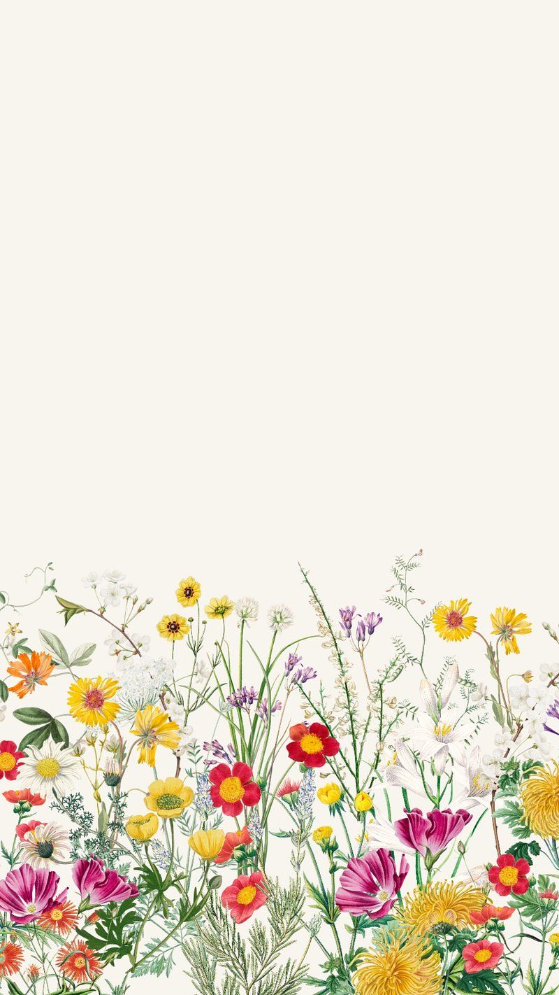 Spring iPhone Wallpapers - 4k, HD Spring iPhone Backgrounds on WallpaperBat