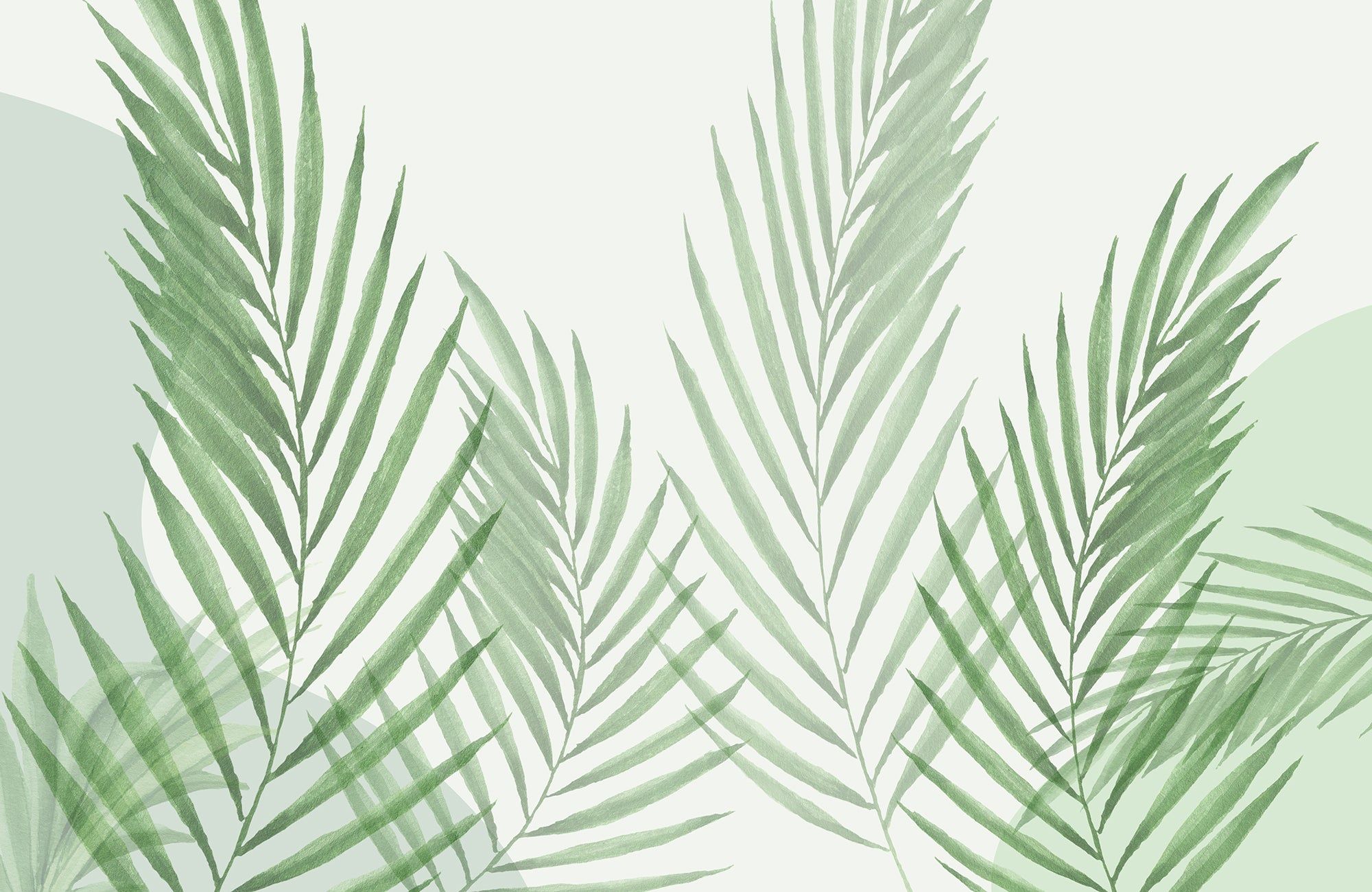 Minimalistic Green Wallpapers - 4k, HD Minimalistic Green Backgrounds ...