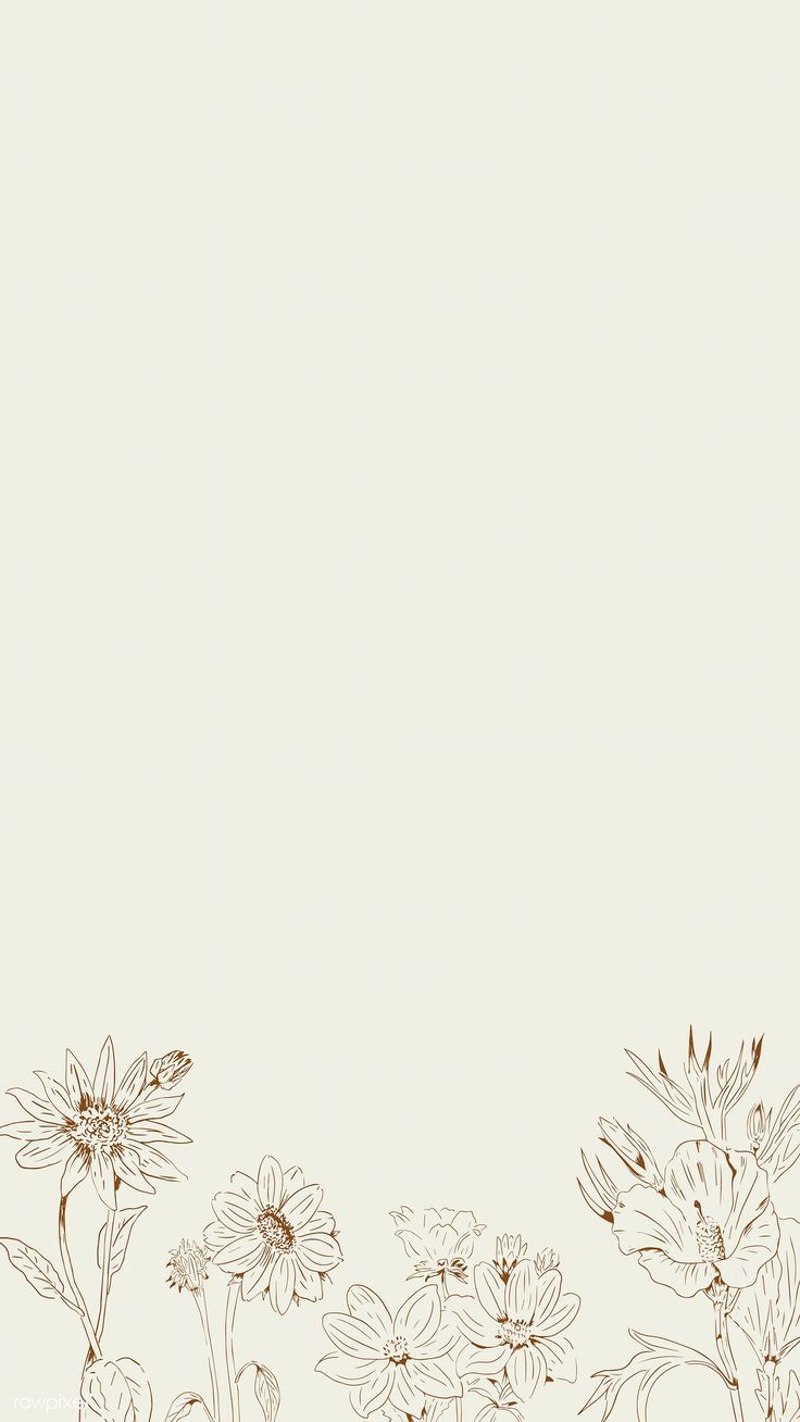 Wildflower iPhone Wallpapers - 4k, HD Wildflower iPhone Backgrounds on ...