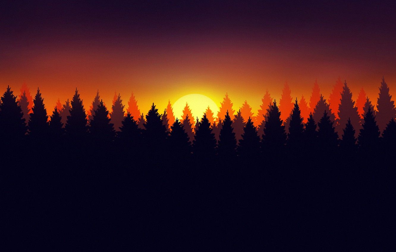 Minimalist Forest Wallpapers 4k Hd Minimalist Forest Backgrounds On