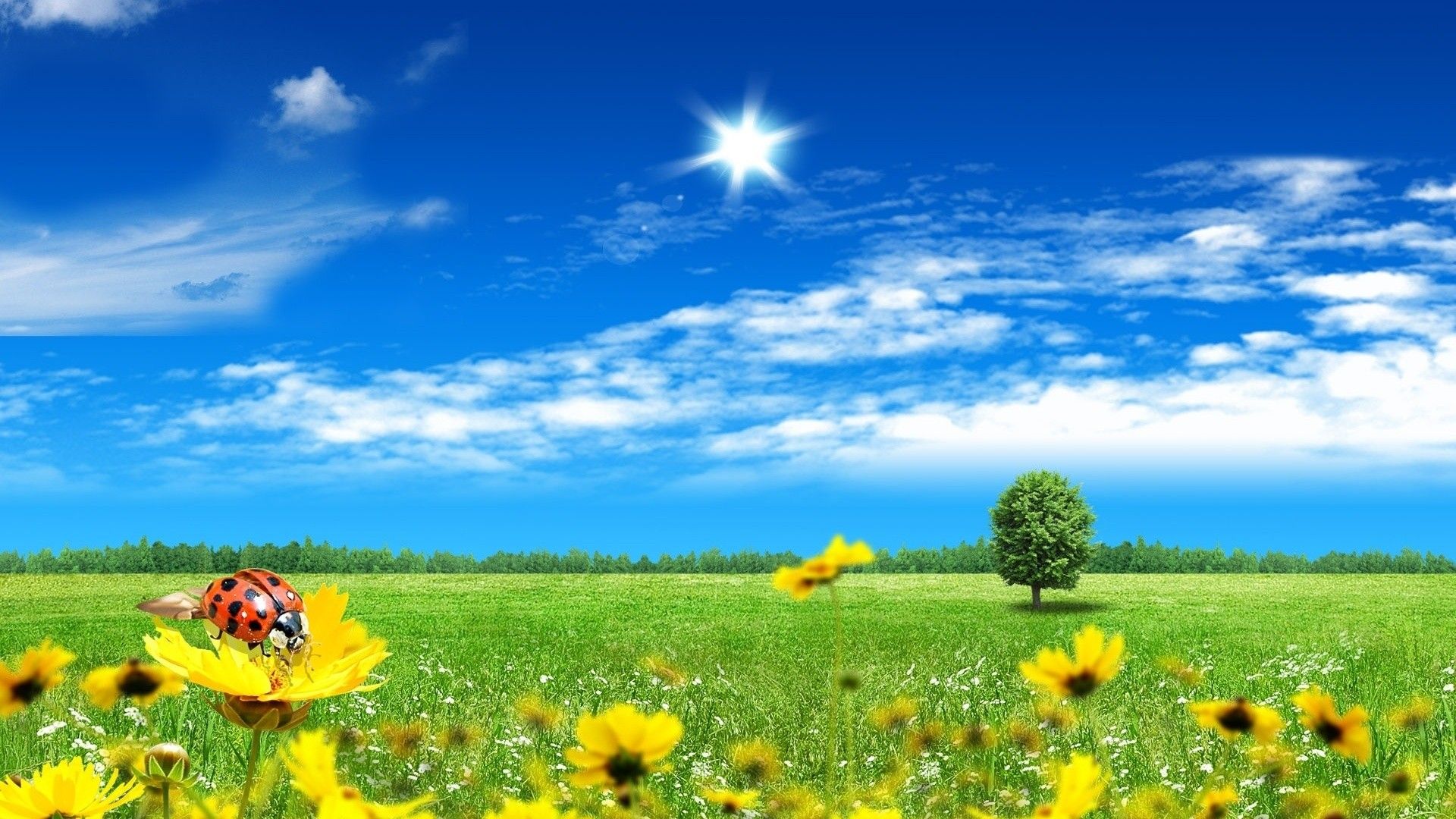 1920x1080 47+] Beautiful Spring Scenes Wallpaper - WallpaperSafari Wallpaper