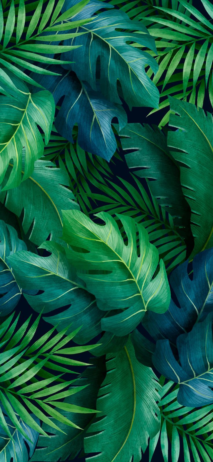 Tropical Leaf Wallpapers - 4k, HD Tropical Leaf Backgrounds on WallpaperBat