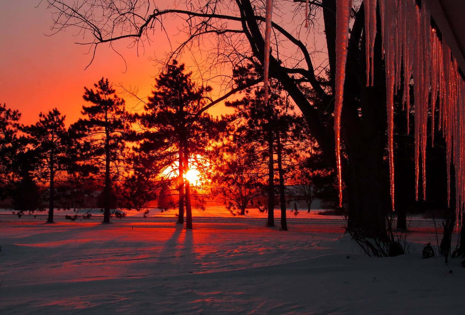 Winter Sun Desktop Wallpapers - 4k, HD Winter Sun Desktop Backgrounds ...