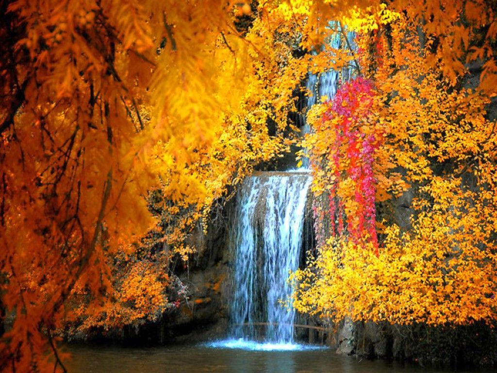 Fall Leaves Waterfall Wallpapers.