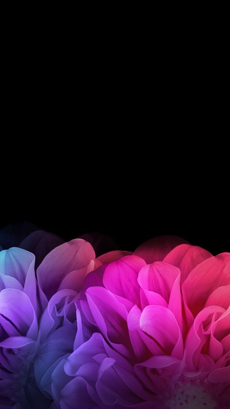 736x1307 Purple Flower Wallpaper For Iphone in 2023 | Flower iphone wallpaper, Purple  flowers wallpaper, Blue flower wallpaper Wallpaper