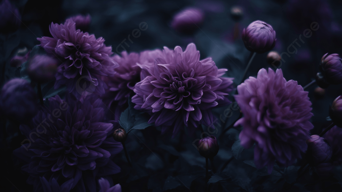 1200x673 Purple Flowers In Dark In Front Of A Tree Background, Aesthetic Dark Purple  Picture Background Image And Wallpaper for Free Download Wallpaper