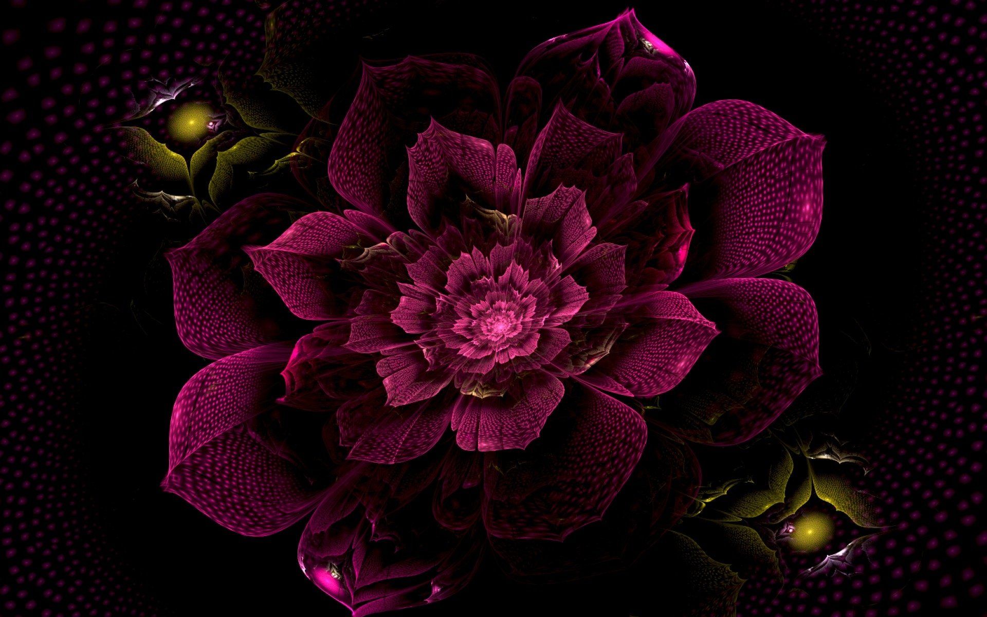 1920x1200 Purple Flower Wallpaper