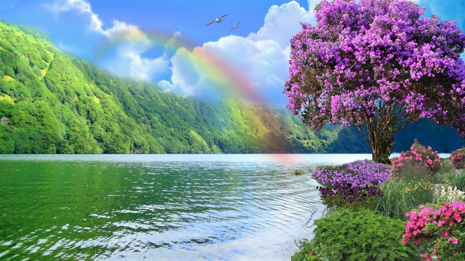 1920x1080 Spring Rainbow Lake - Nature HD Wallpaper Wallpaper