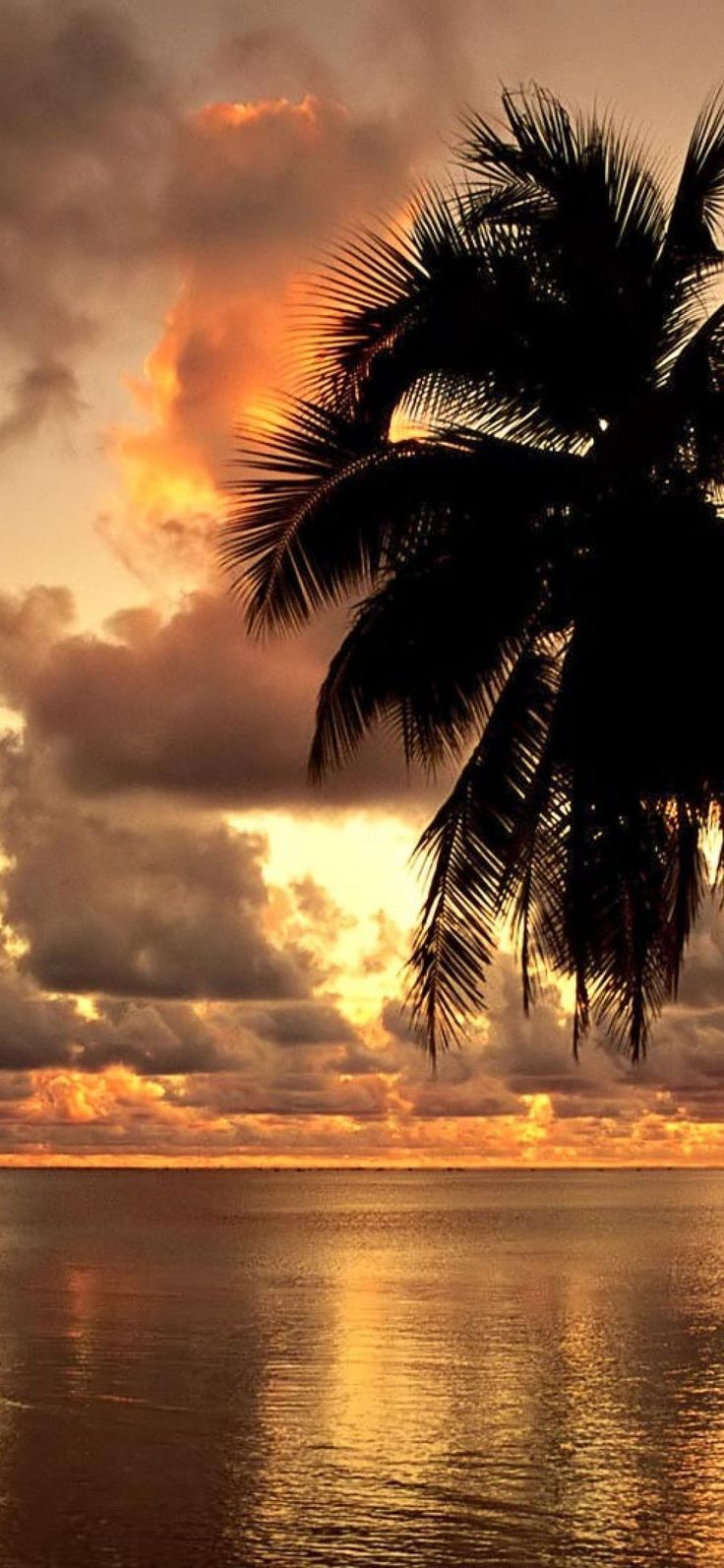 736x1593 Hawaii iPhone Wallpapers - Top Free Hawaii iPhone Backgrounds -  WallpaperAccess | Sunset iphone wallpaper, Sunset wallpaper, Beach wallpaper  iphone Wallpaper