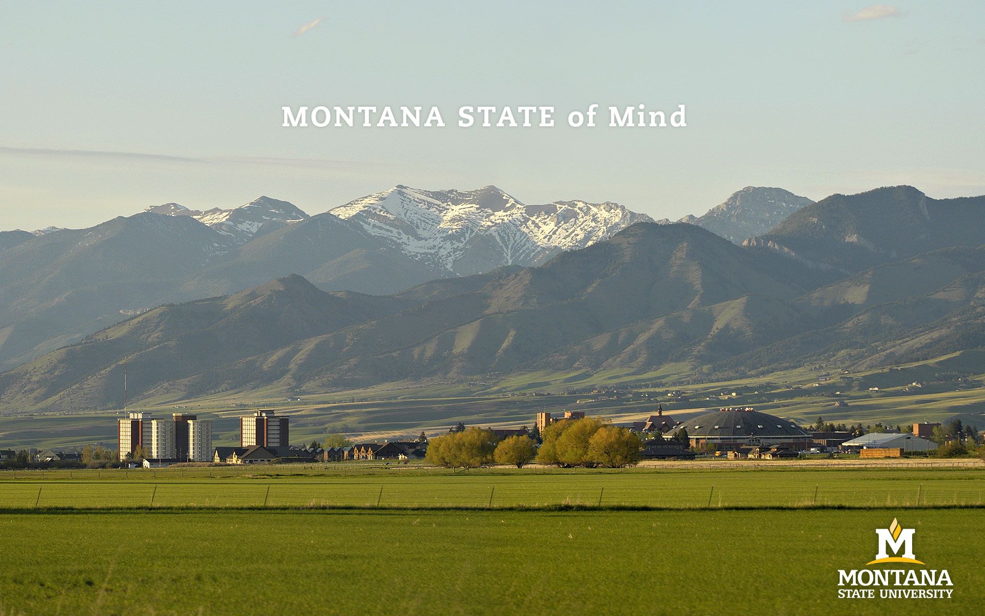 Montana Joleigh