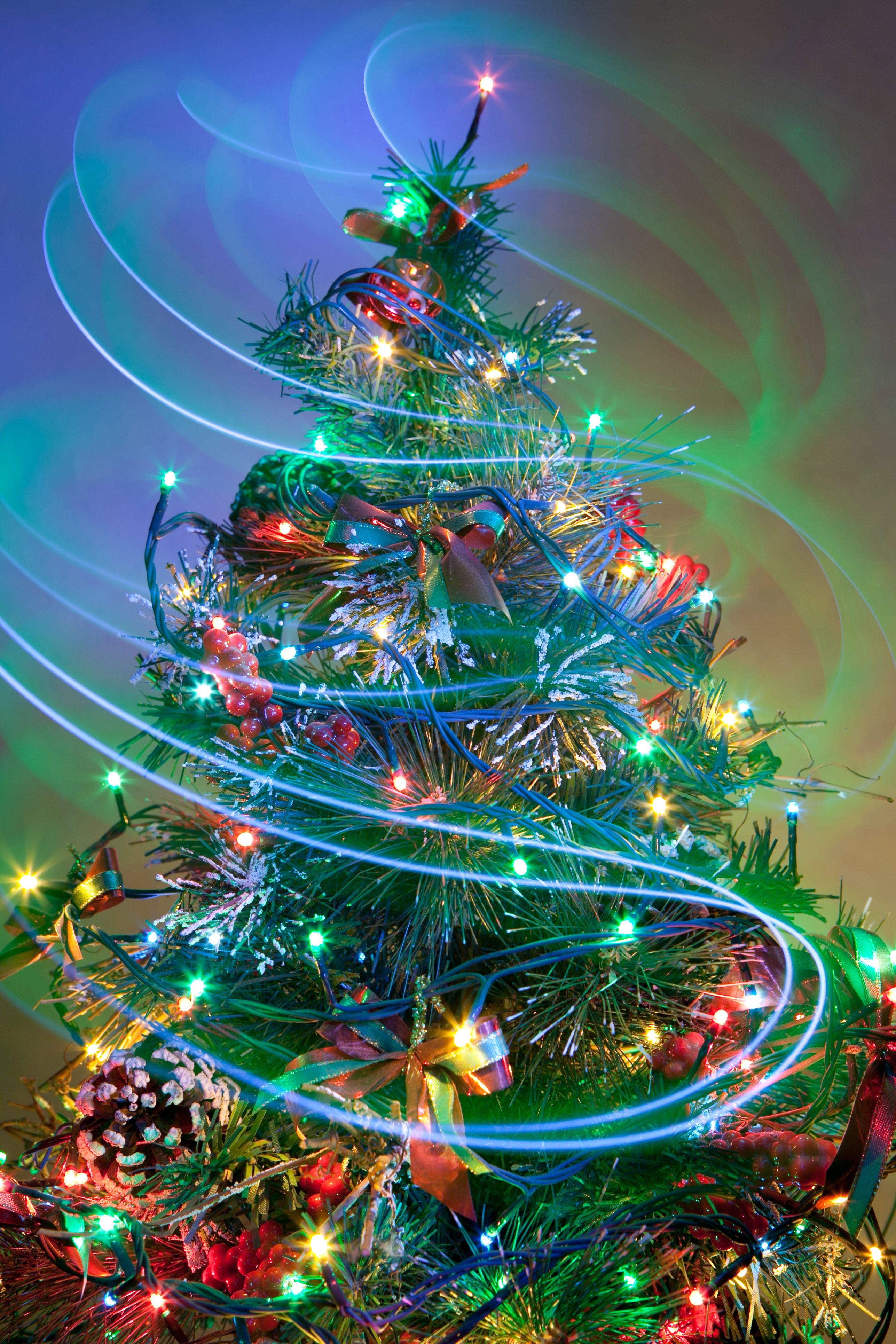 Christmas Tree Wallpapers - 4k, HD Christmas Tree Backgrounds on ...