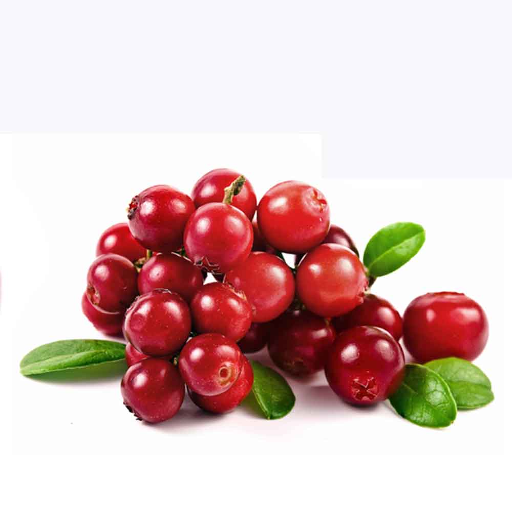 Cranberry Wallpapers - 4k, HD Cranberry Backgrounds on WallpaperBat