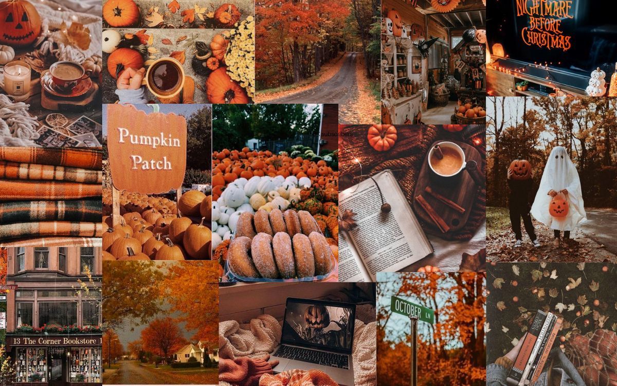 Snuggly Fall Library Computer Background Fall Laptop Wallpapers - 4k, HD Backgrounds on WallpaperBat
