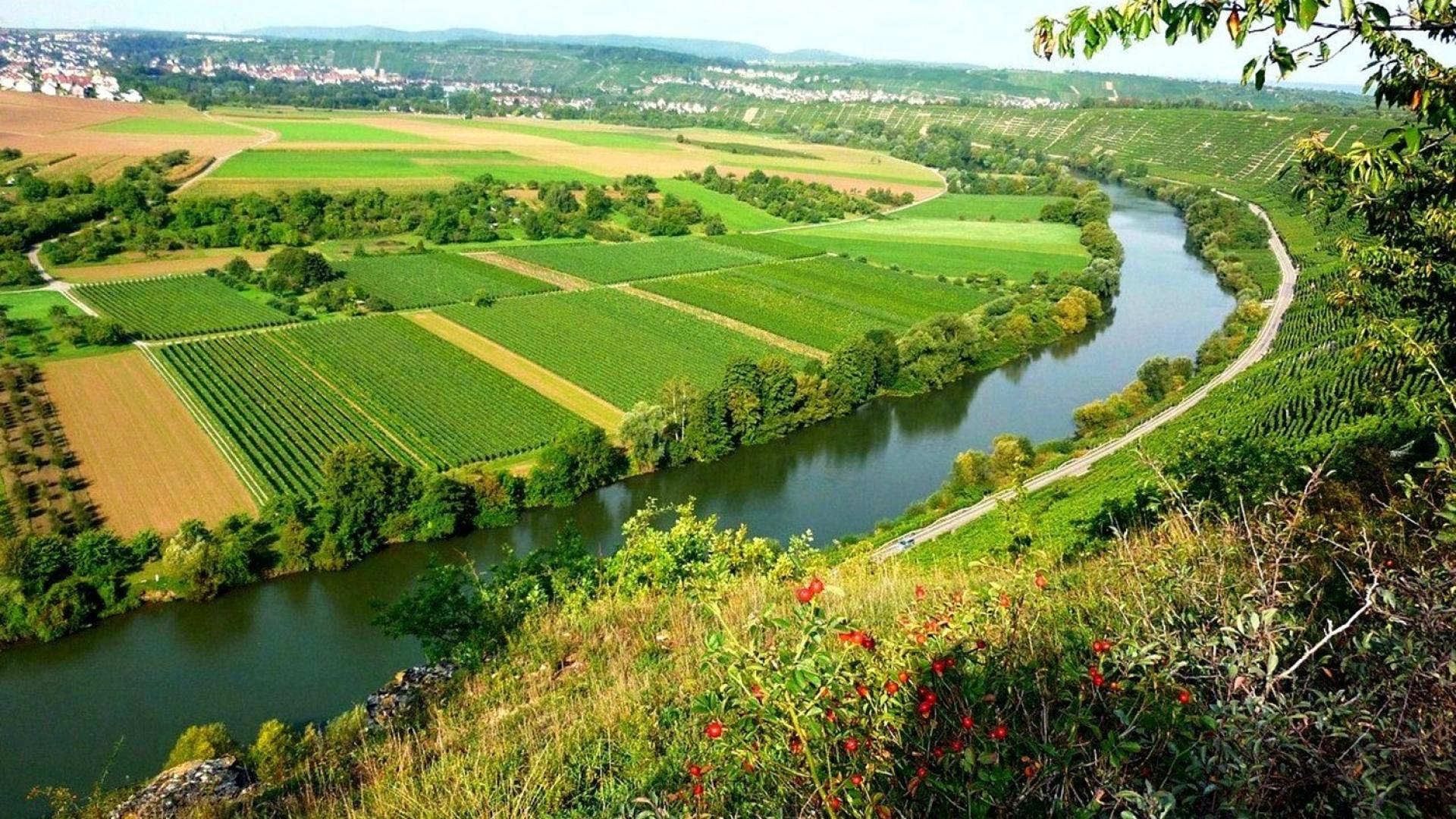 Питьевое хозяйство. Сельское хозяйство на реке. Сельское хозяйство Дании. Вода в сельском хозяйстве. Река в хозяйстве.