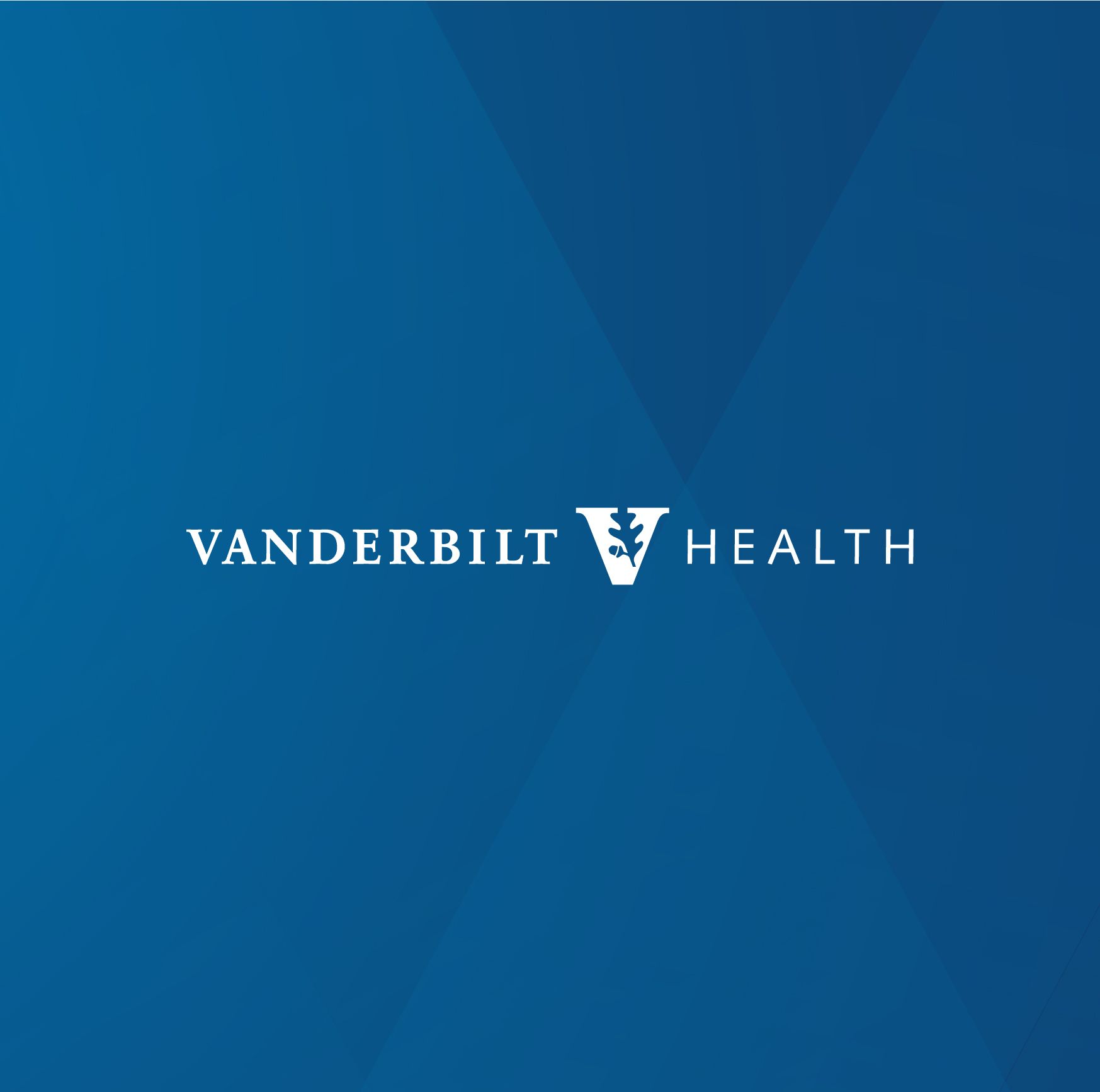 vanderbilt-wallpapers-4k-hd-vanderbilt-backgrounds-on-wallpaperbat