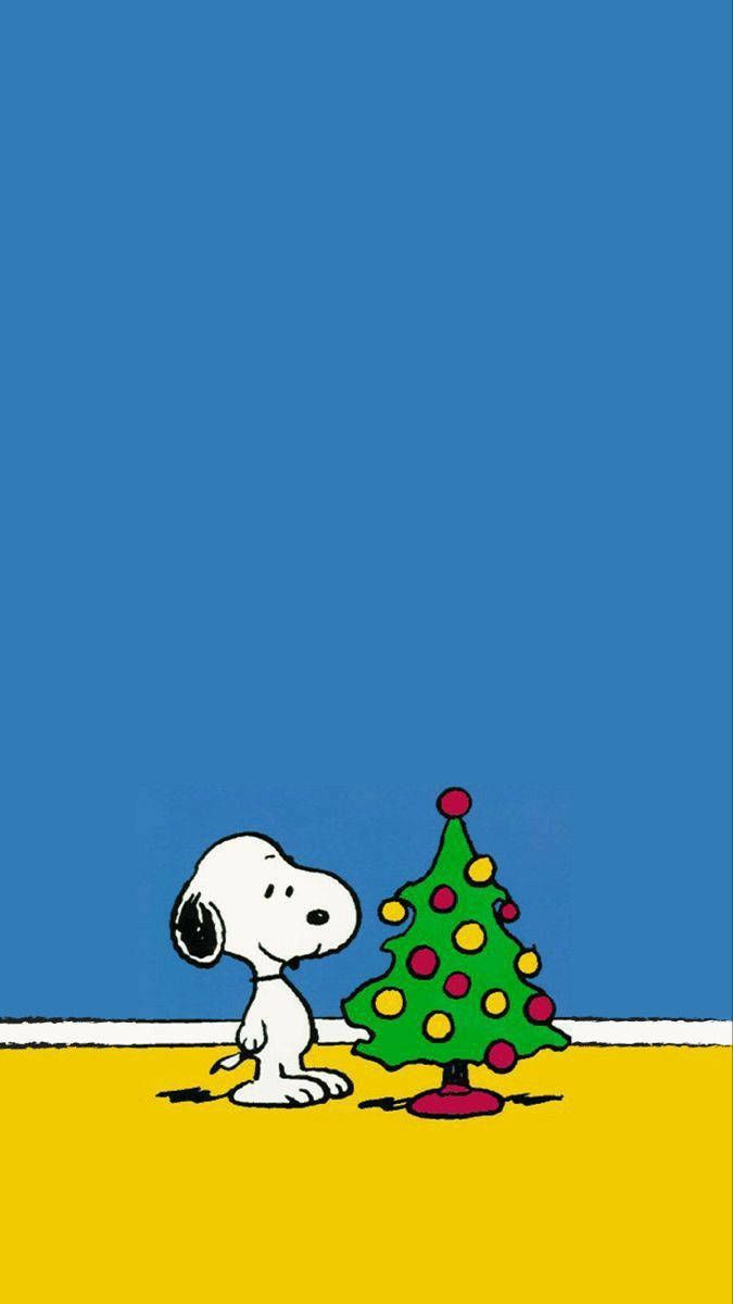 Snoopy Christmas Wallpapers 4k Hd Snoopy Christmas Backgrounds On