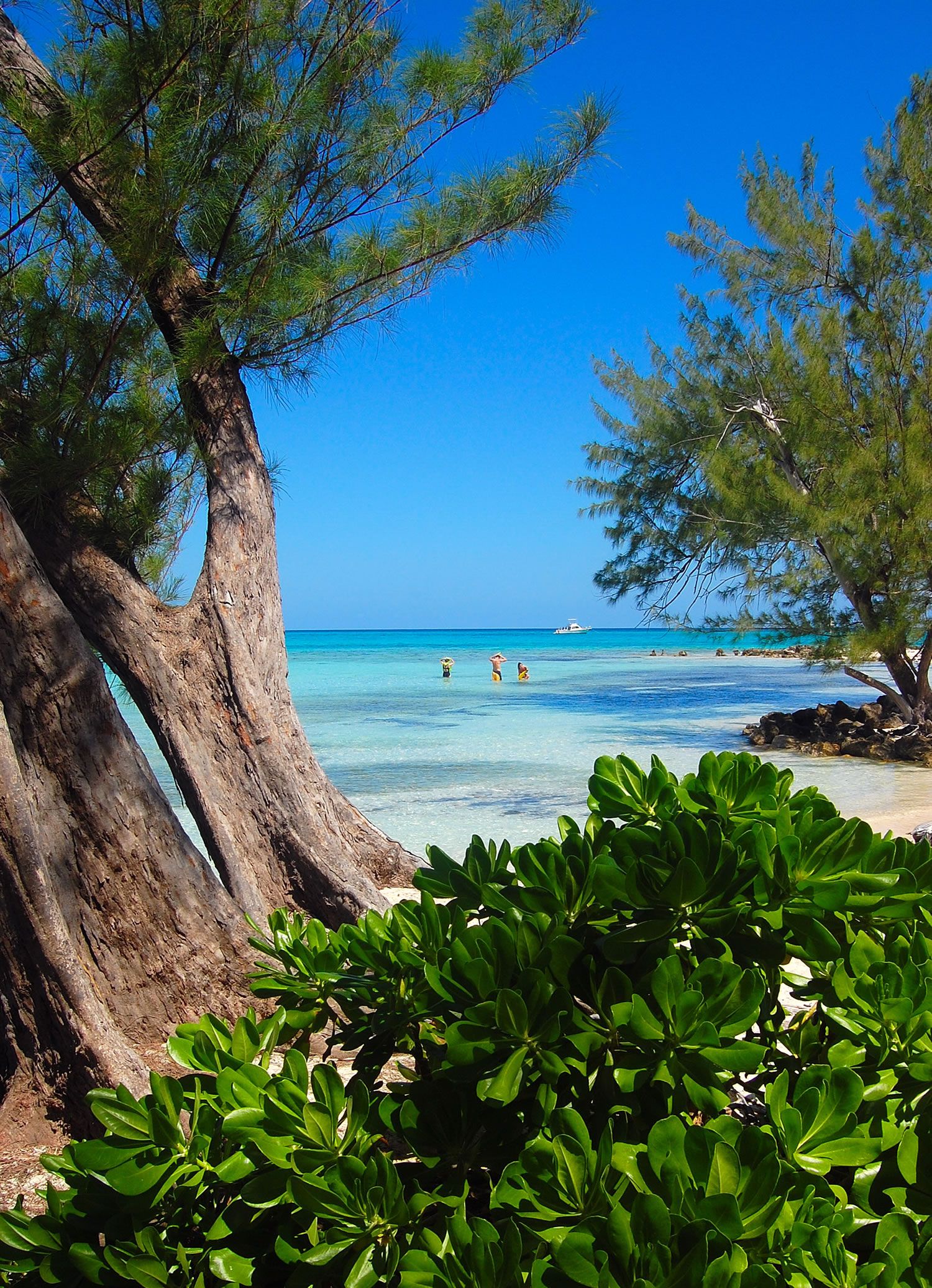 1500x2073 perfect beach cayman islands | HD Windows Wallpapers Wallpaper