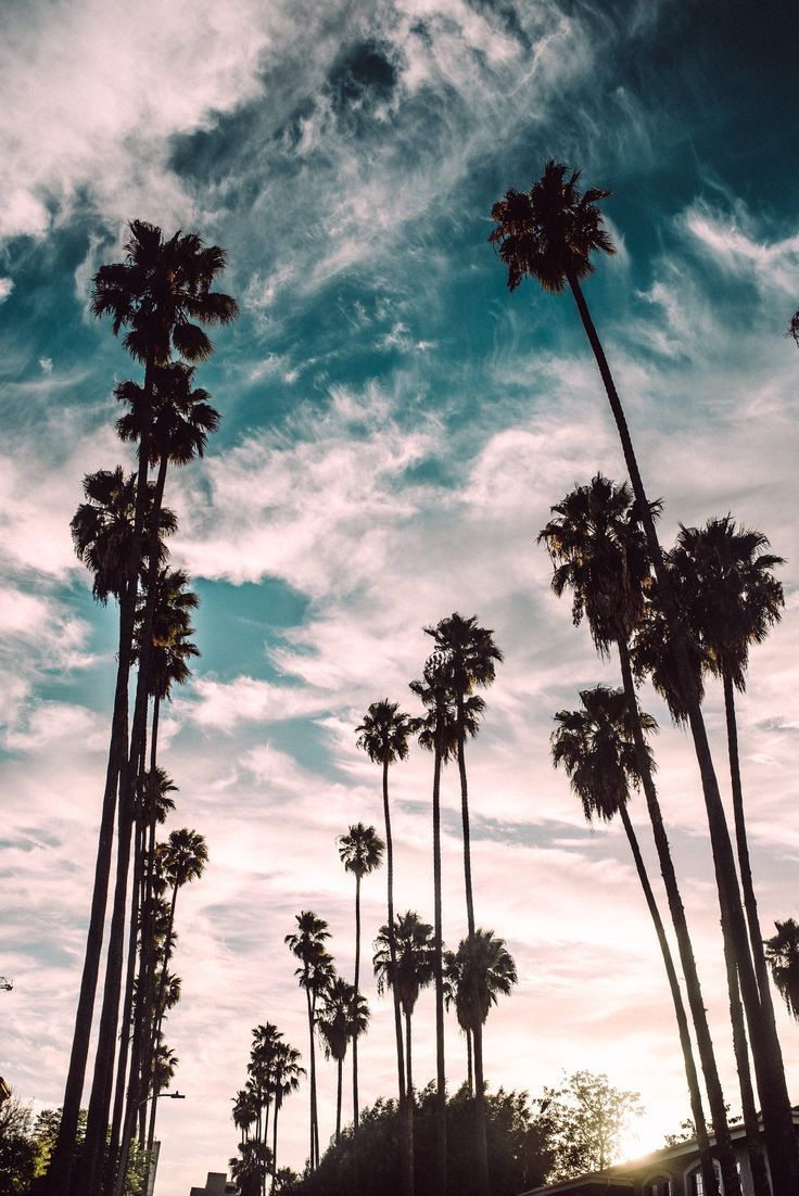 Hollywood iPhone Wallpapers - 4k, HD Hollywood iPhone Backgrounds on ...