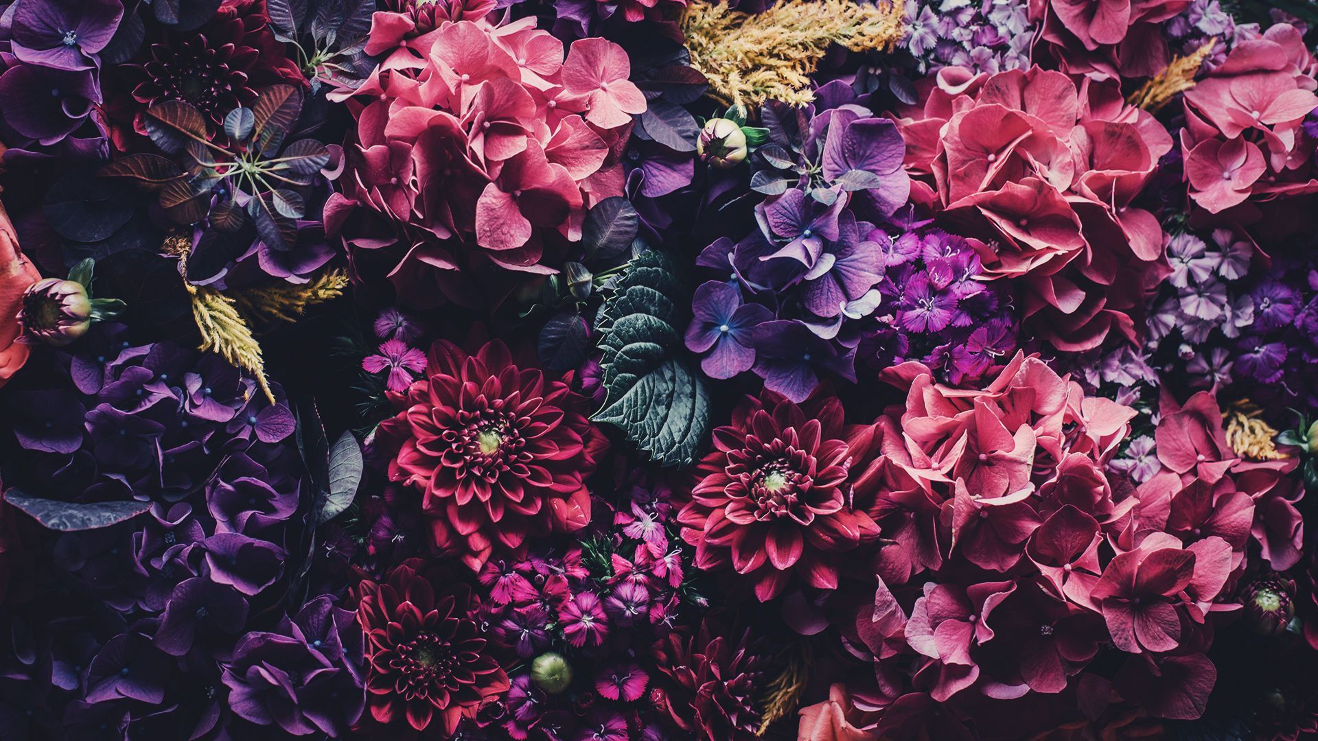 Flowers Laptop Wallpapers 4k HD Flowers Laptop Backgrounds On flowers-laptop-wallpapers-4k-hd-flowers-laptop-backgrounds-on
