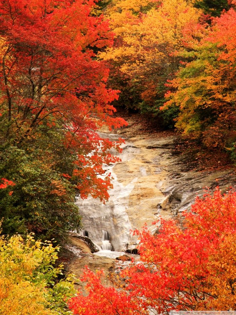 North Carolina Mountains Wallpapers - 4k, HD North Carolina Mountains ...