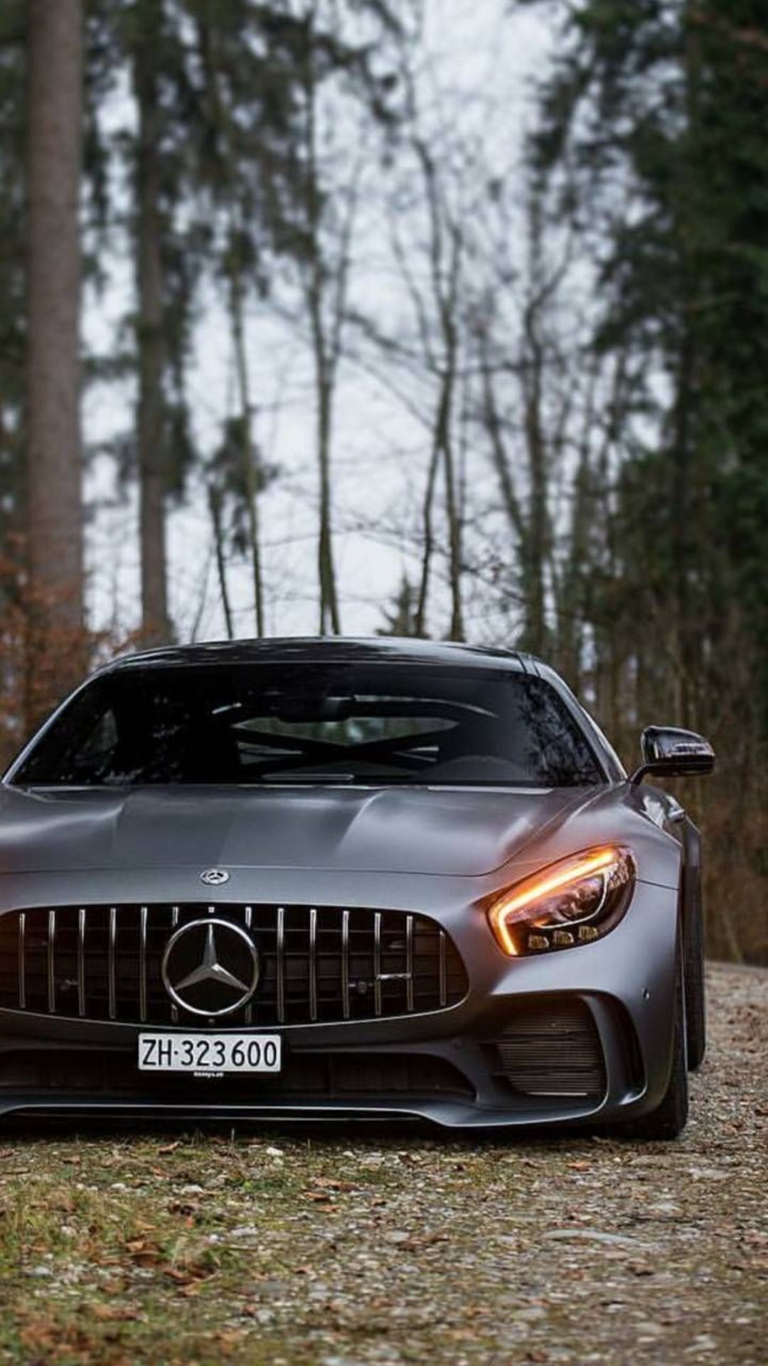 Download Majestic Mercedes-Benz AMG Logo Wallpaper