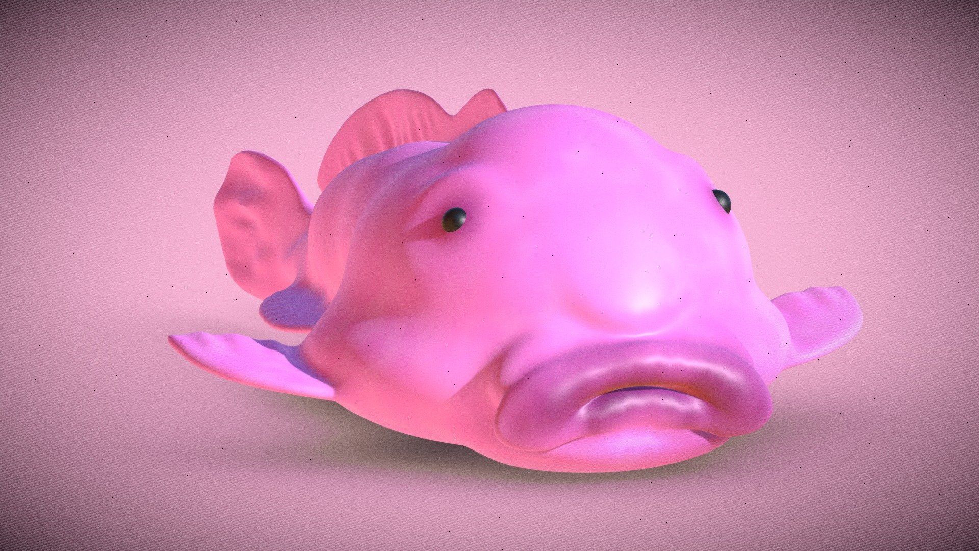 Blobfish Wallpapers - 4k, HD Blobfish Backgrounds on WallpaperBat