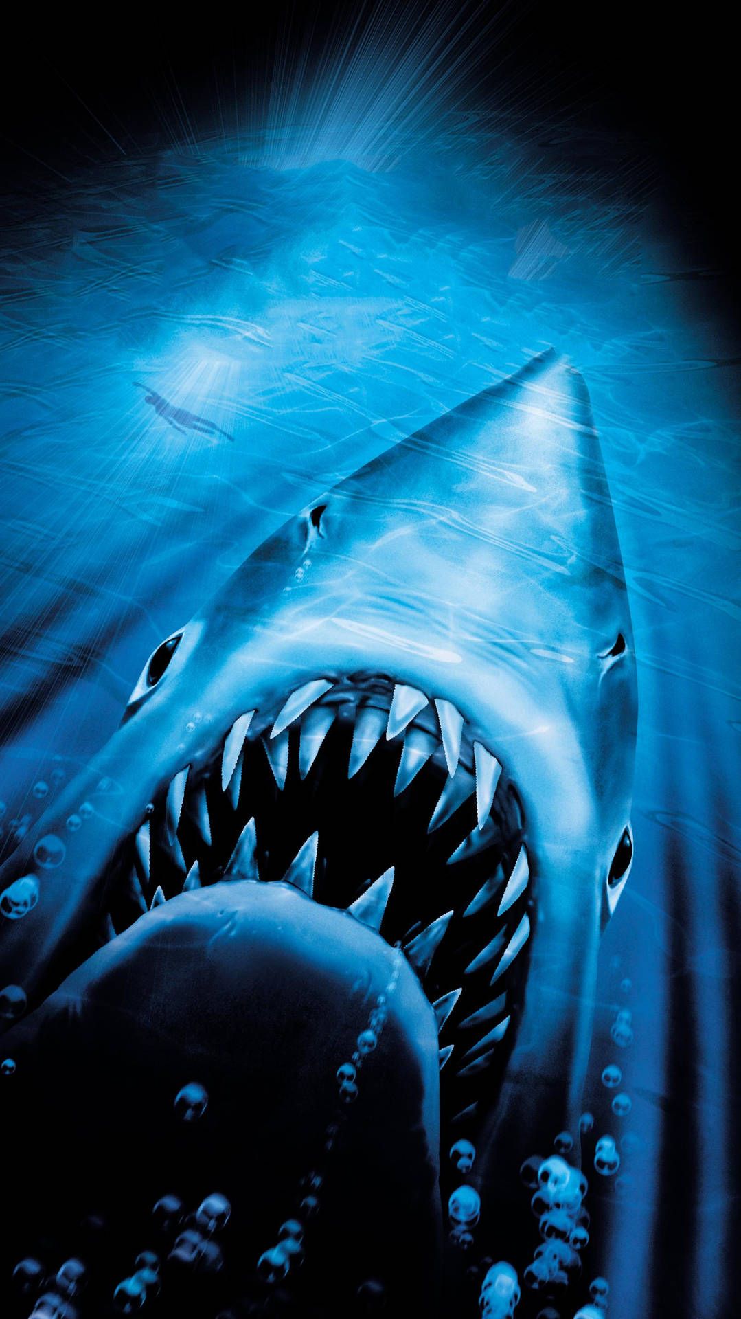 Jaws Wallpapers - 4k, HD Jaws Backgrounds on WallpaperBat