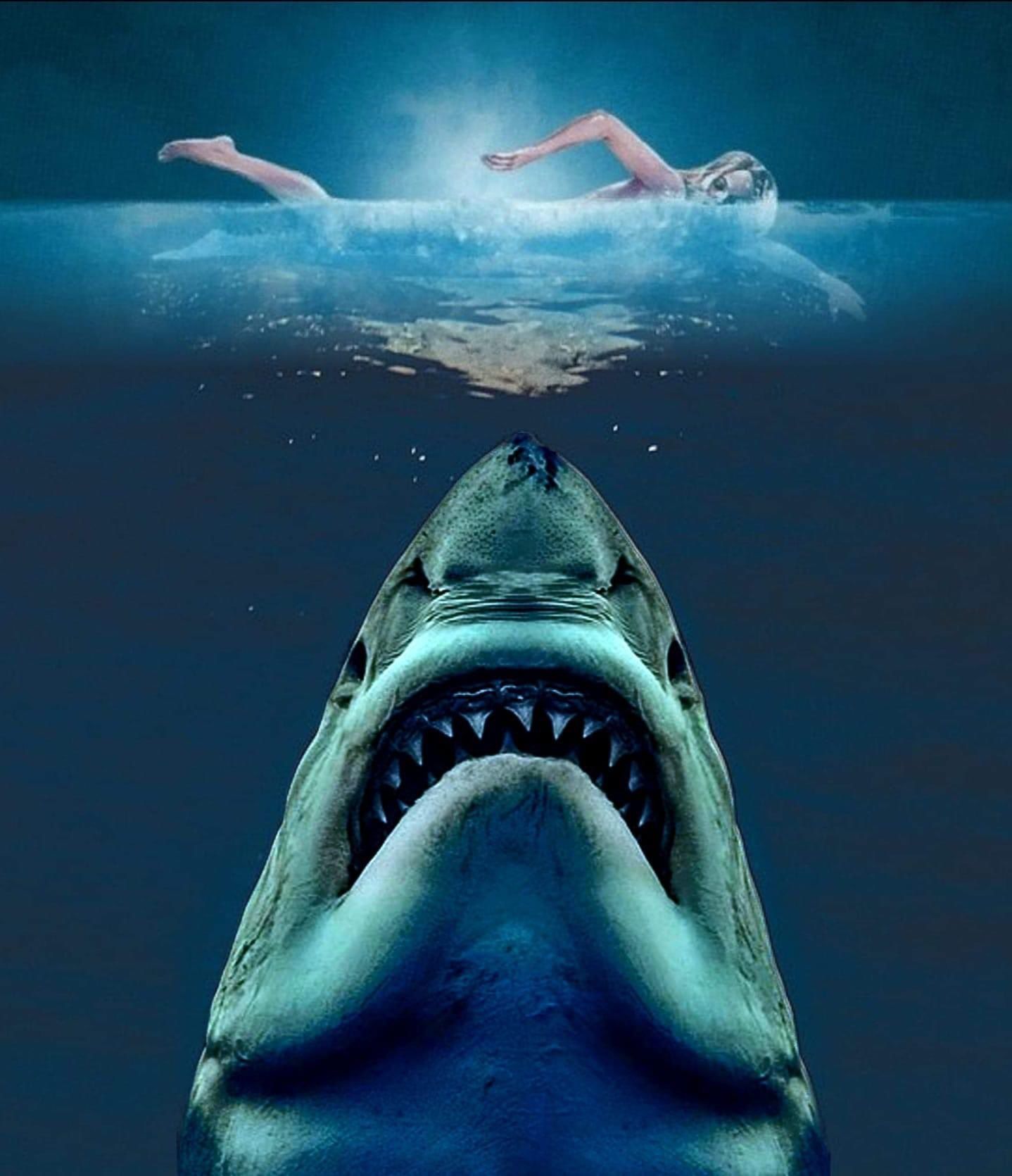 Jaws At 50:  More Than Just A Thriller:  The Deeper Meaning Of Jaws - hnd7q3x