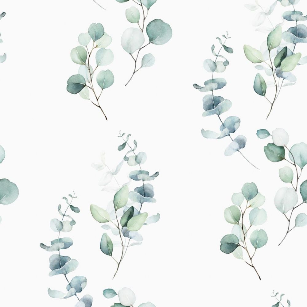 Eucalyptus Wallpapers - 4k, HD Eucalyptus Backgrounds on WallpaperBat