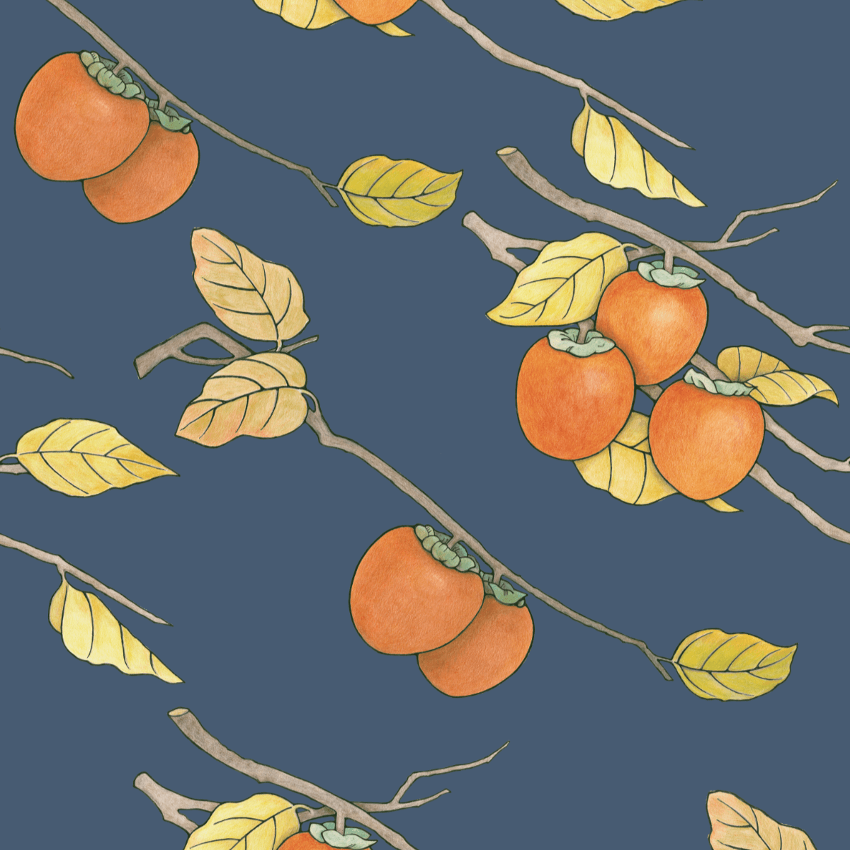 Persimmon Wallpapers - 4k, HD Persimmon Backgrounds on WallpaperBat