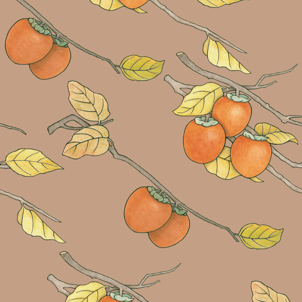 Persimmon Wallpapers - 4k, HD Persimmon Backgrounds on WallpaperBat