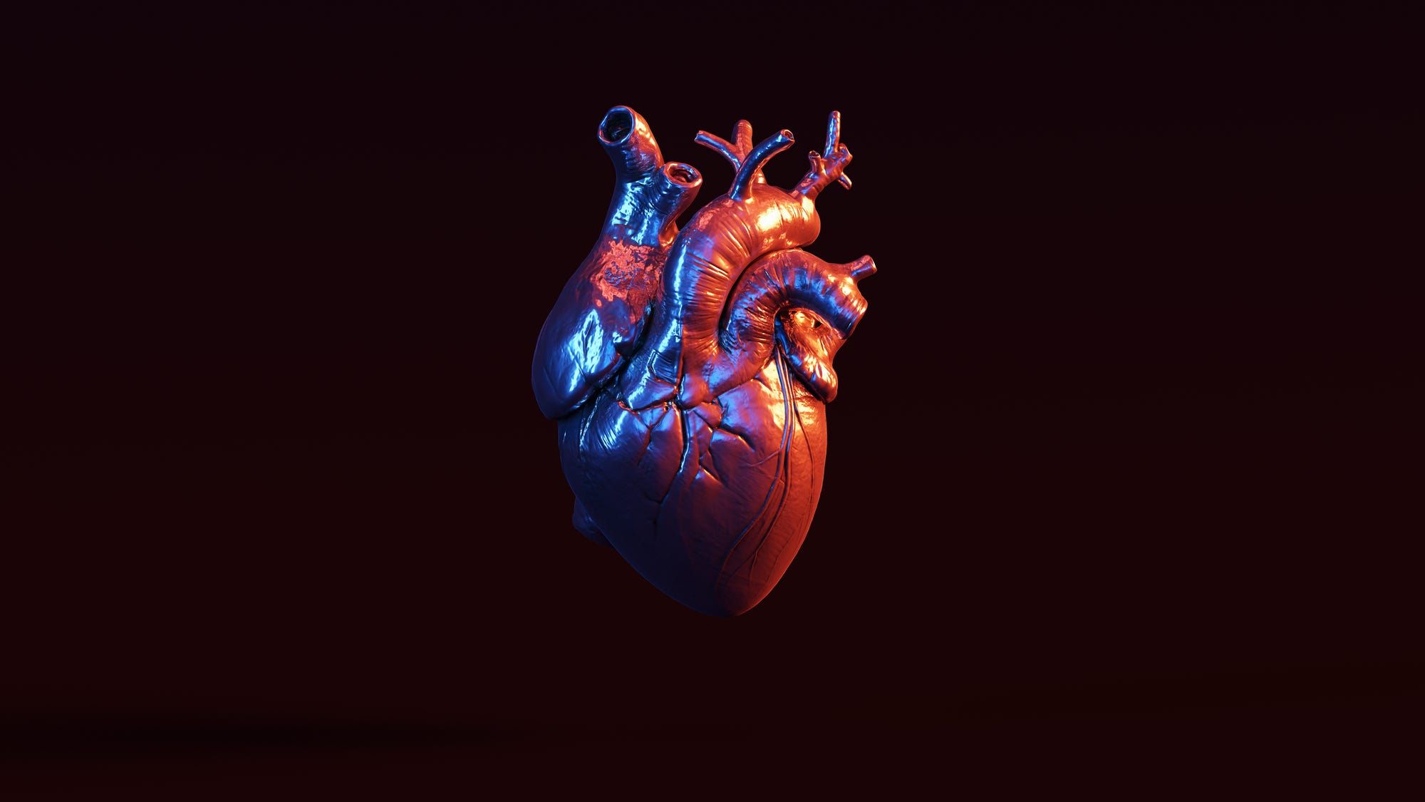 Heart Rate Wallpapers - 4k, HD Heart Rate Backgrounds on WallpaperBat