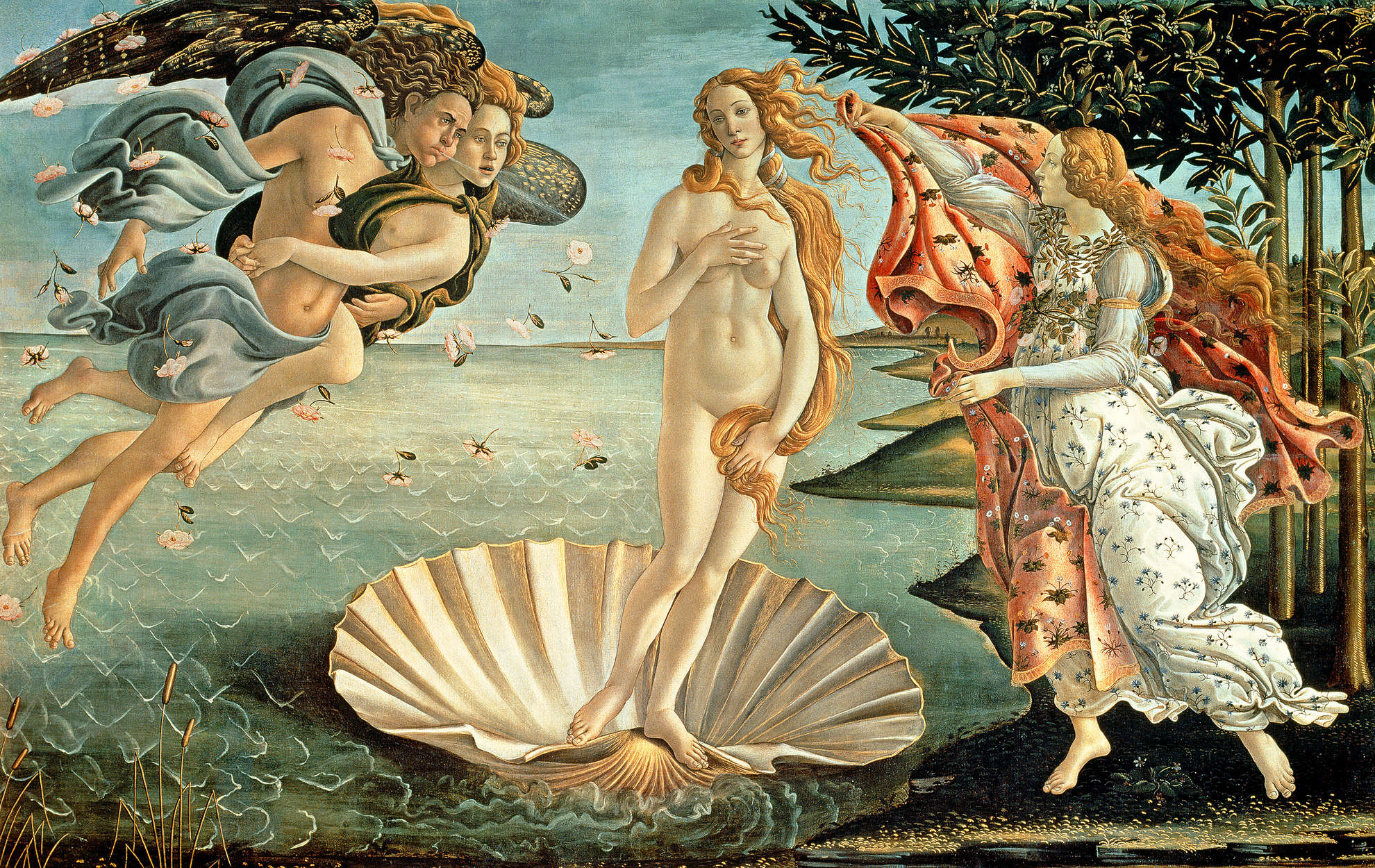 1980x1250 Venus