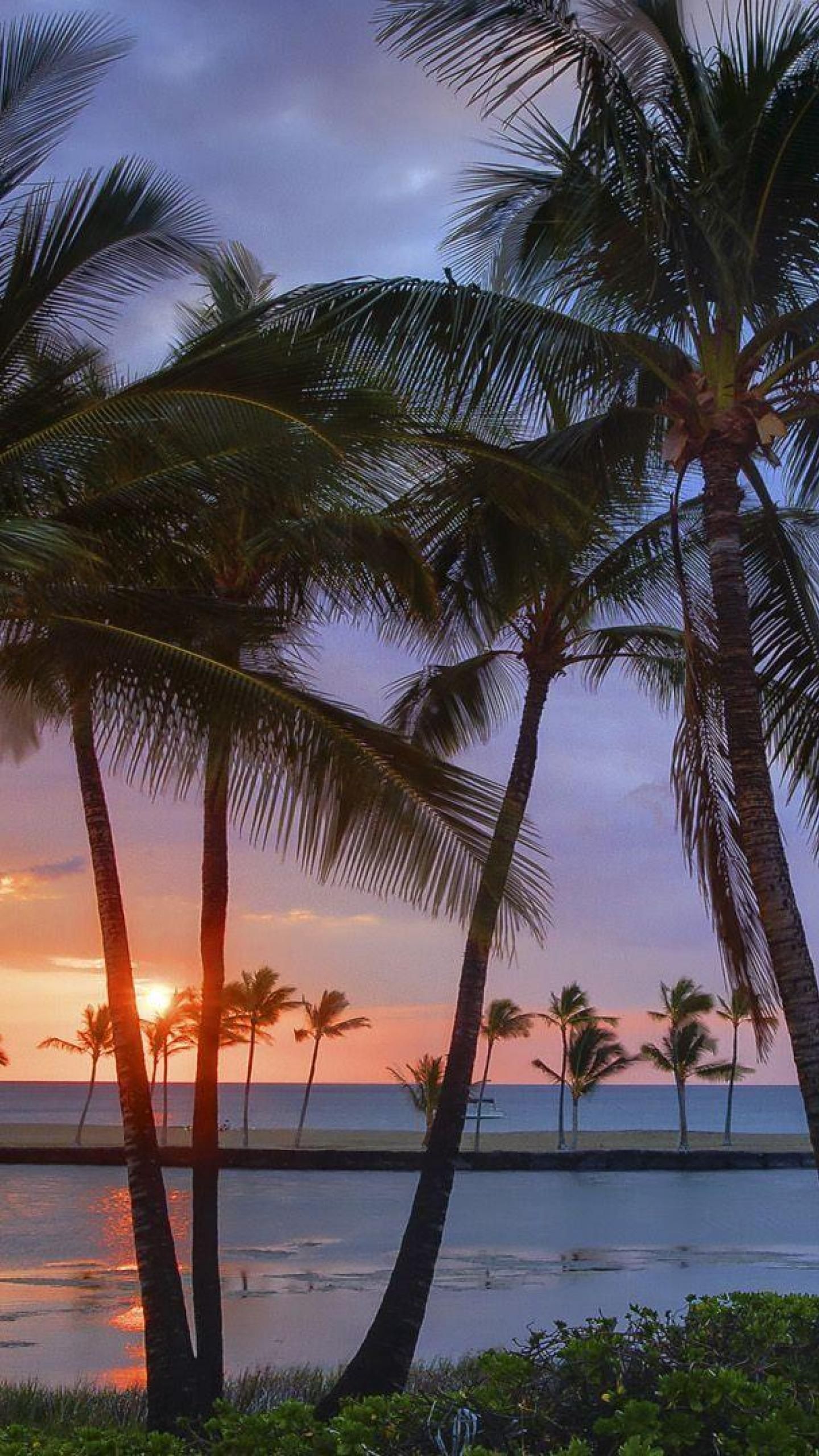 1440x2560 Wallpaper iphone Vacation hd-53 | Hawaii beaches, Sunsets hawaii, Beach  wallpaper Wallpaper