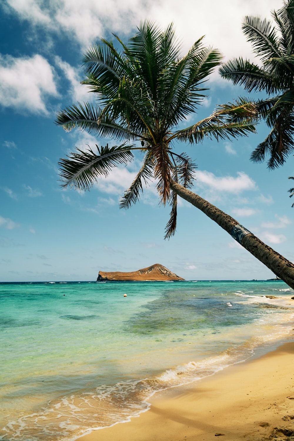 1000x1500 Hawaii Beach Scenery Wallpapers - Wallpaper Cave Wallpaper