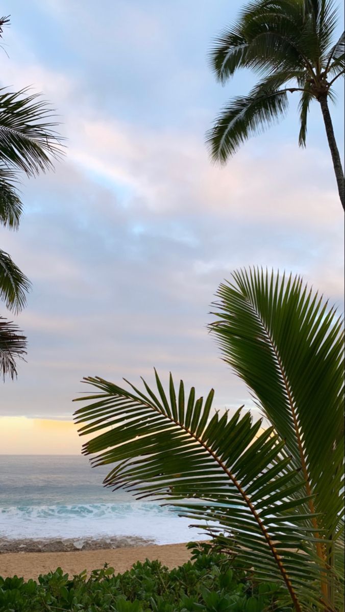 676x1200 hawai'i ☆彡 | Scenery wallpaper, Sky aesthetic, Ocean wallpaper Wallpaper