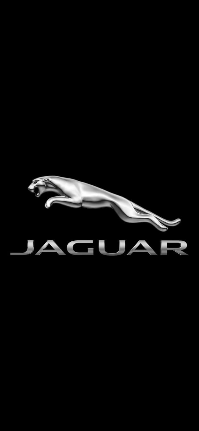 Jaguar Wallpapers - 4k, HD Jaguar Backgrounds on WallpaperBat