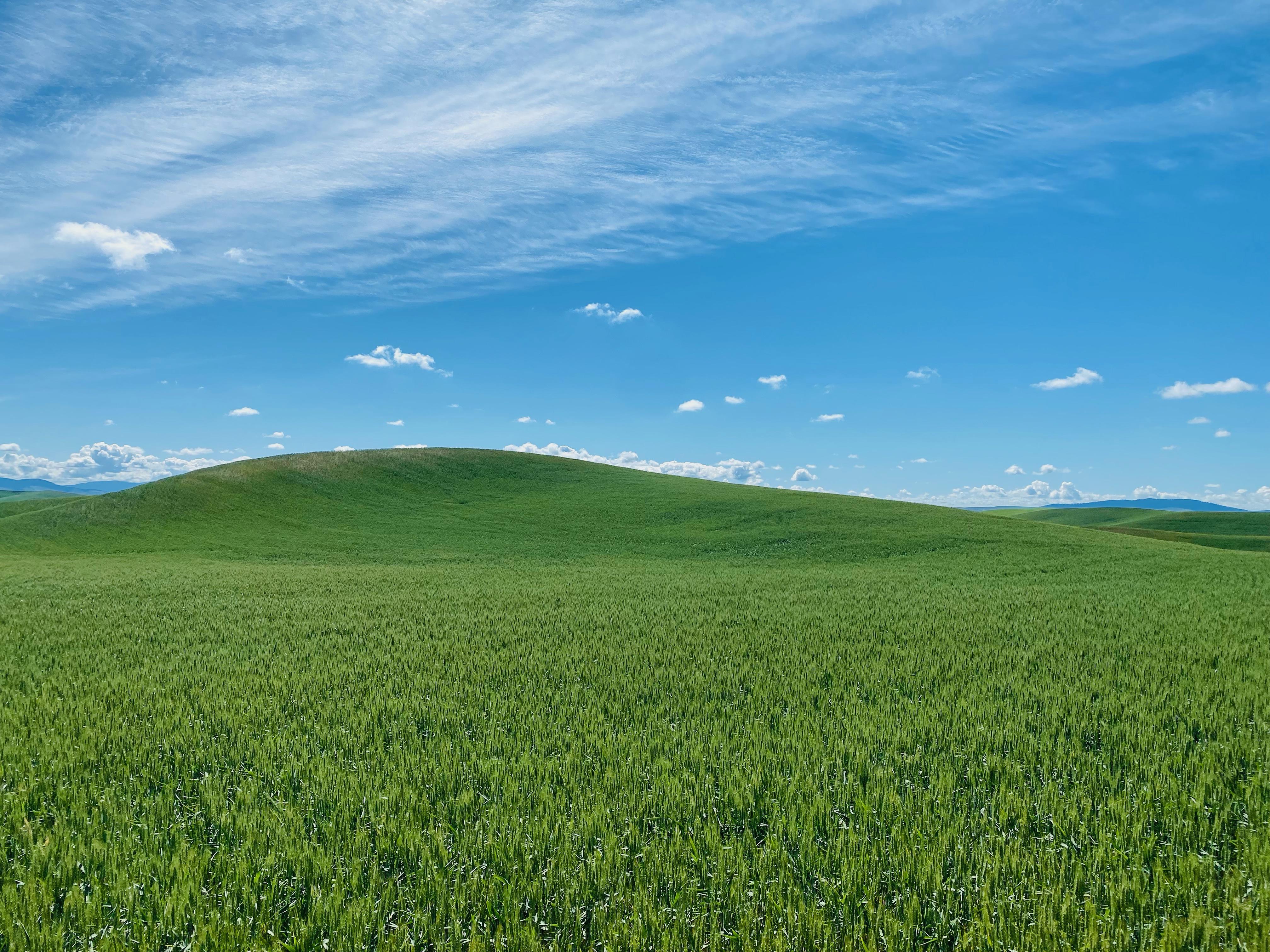 Grassy Hill Wallpapers - 4k, HD Grassy Hill Backgrounds on WallpaperBat