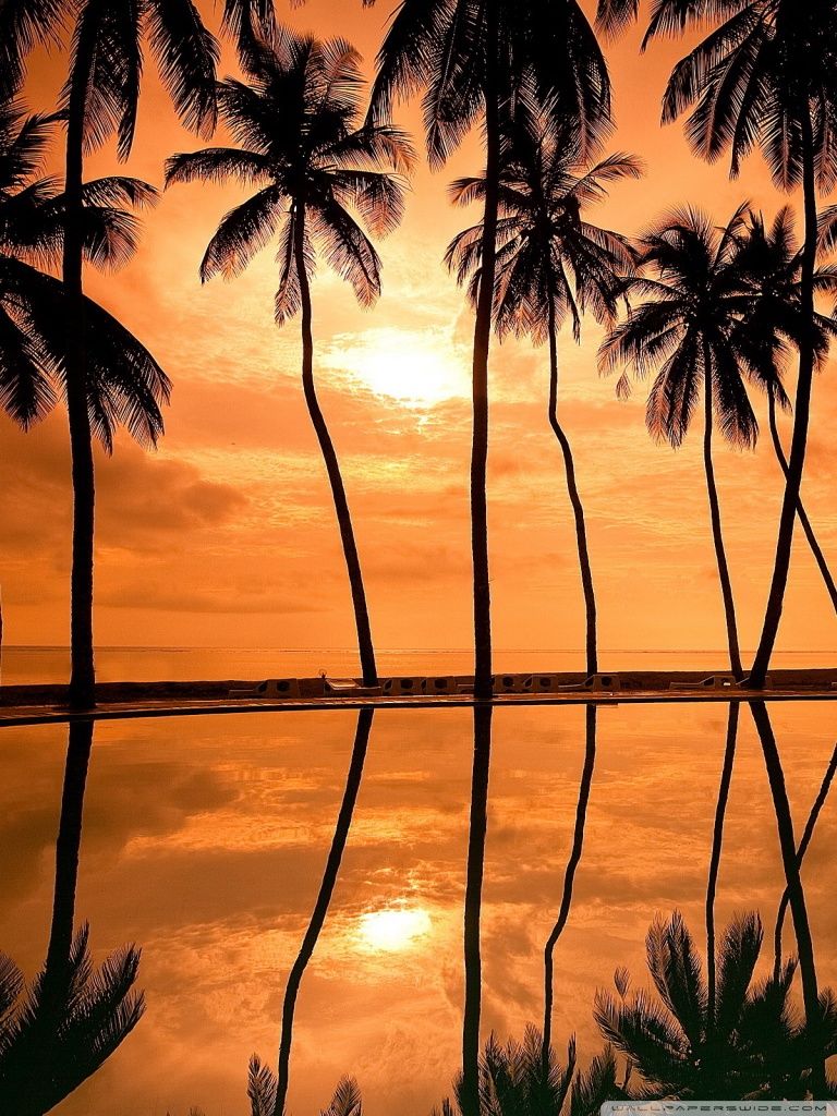 768x1024 Hawaiian Beach Sunset Reflection Ultra HD Desktop Background Wallpaper for  4K UHD TV : Tablet : Smartphone Wallpaper