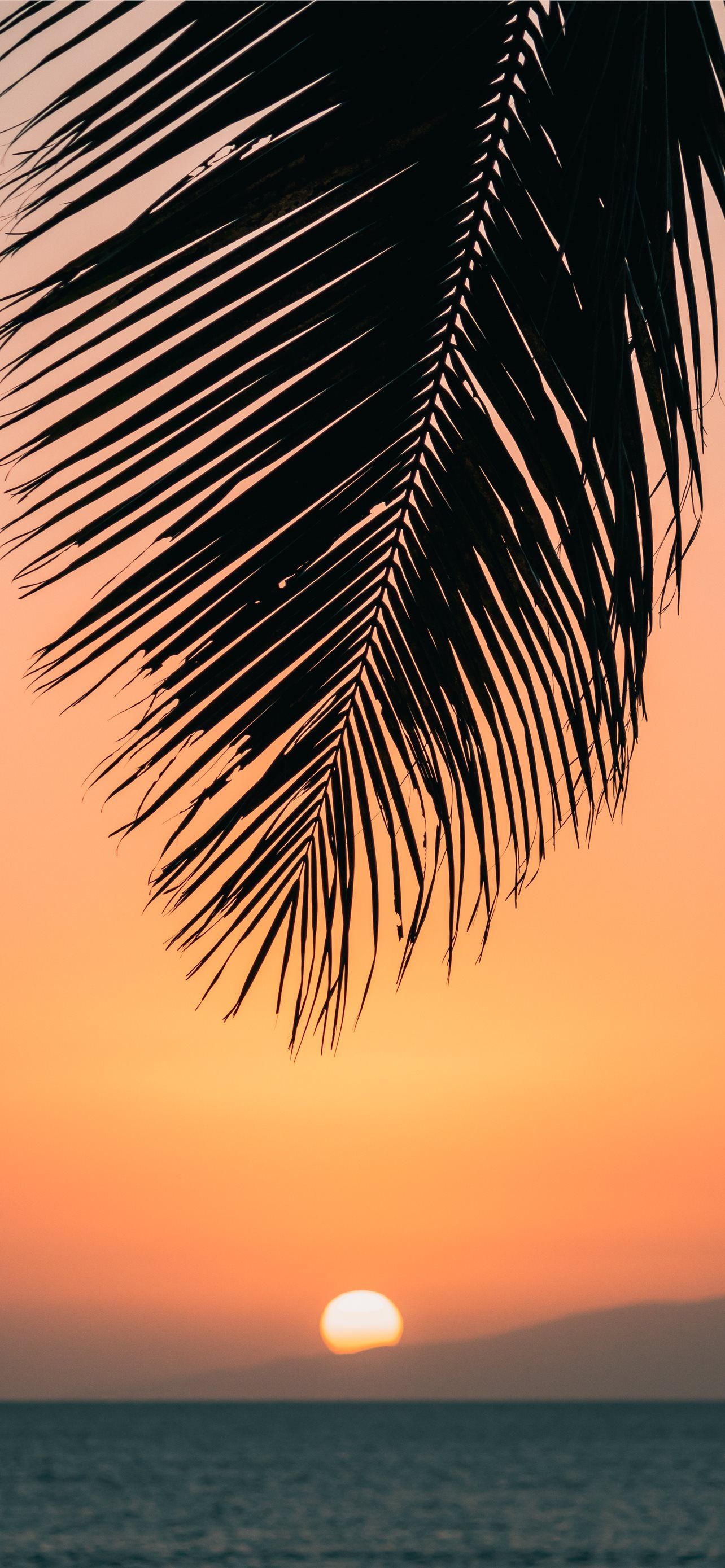 1284x2778 Best Hawaii iPhone HD Wallpapers - iLikeWallpaper Wallpaper