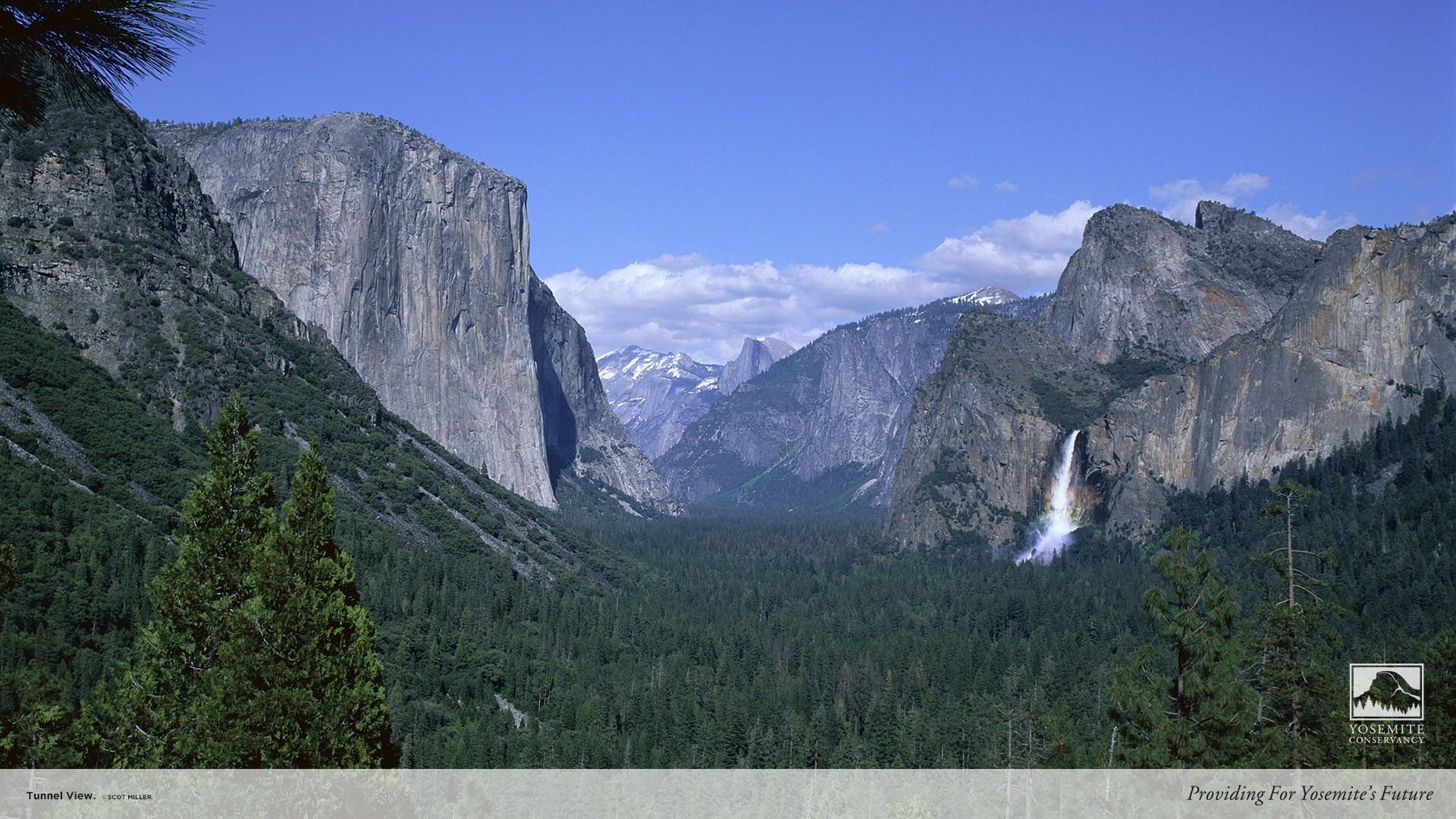 Yosemite Conservancy