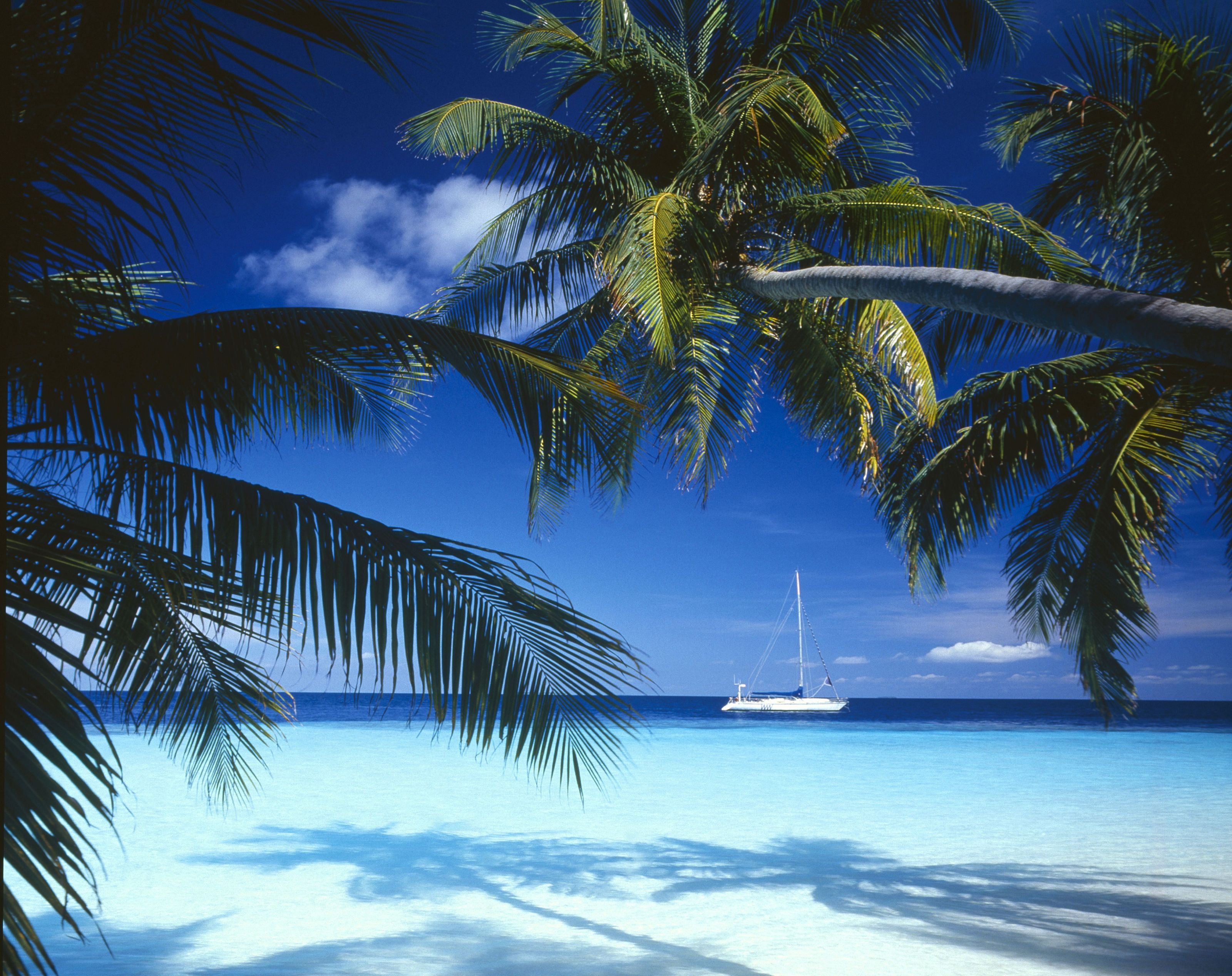Sailboat Wallpapers 4k Hd Sailboat Backgrounds On Wallpaperbat Sailboat Wallpapers 4k Hd Sailboat Backgrounds On Wallpaperbat