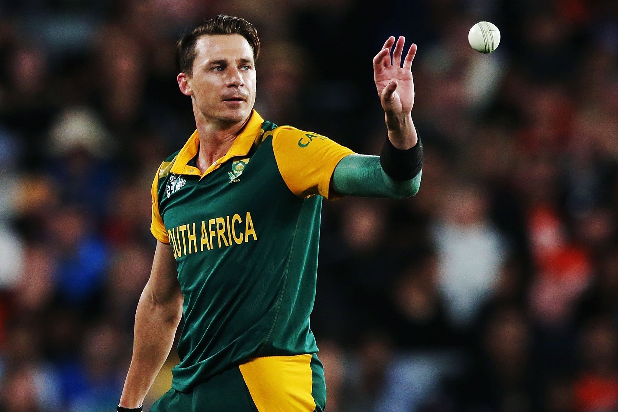 Dale Steyn Wallpapers - 4k, HD Dale Steyn Backgrounds on WallpaperBat