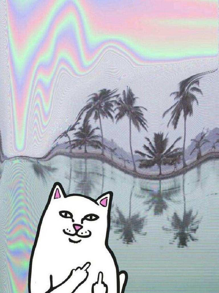 Ripndip Wallpapers - 4k, HD Ripndip Backgrounds on WallpaperBat