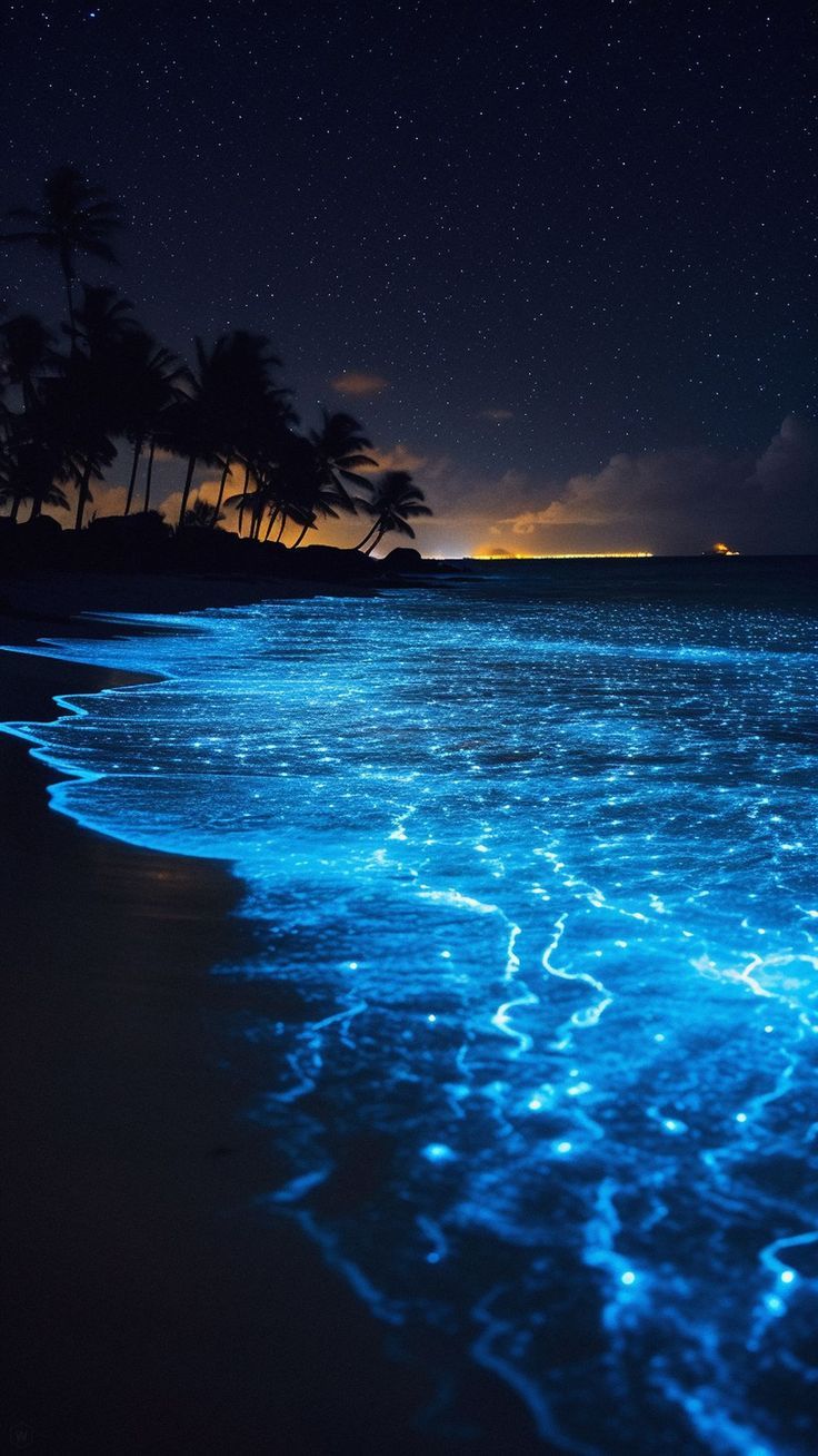 Ocean at Night Wallpapers - 4k, HD Ocean at Night Backgrounds on ...