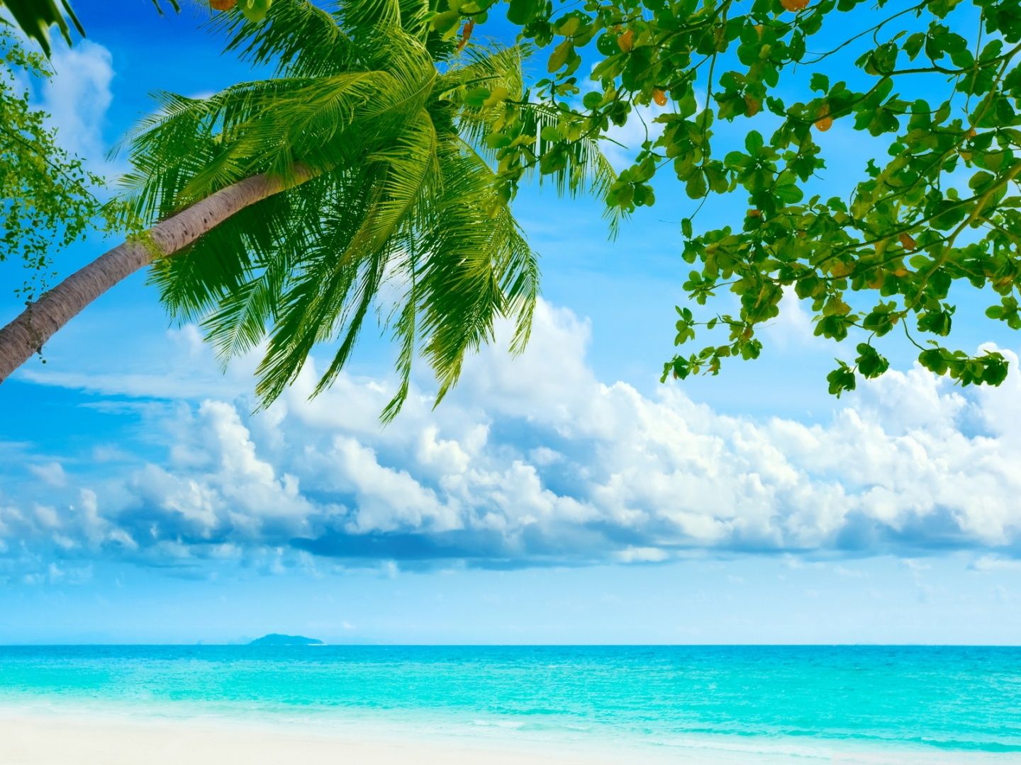 Tropical Resort Wallpapers - 4k, Hd Tropical Resort Backgrounds On 